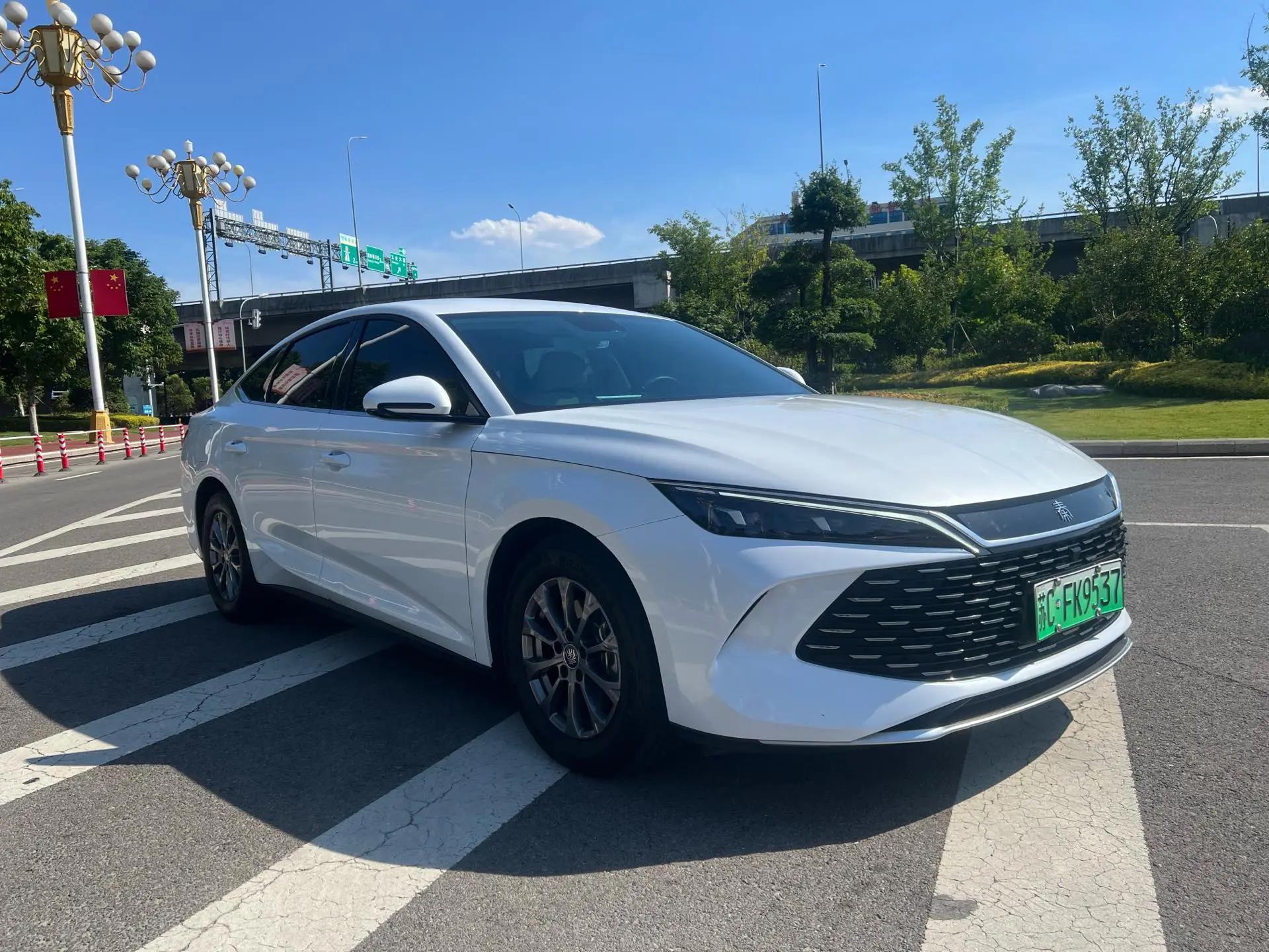 Qin L 2024 DM-i 80KM Leading Type 3