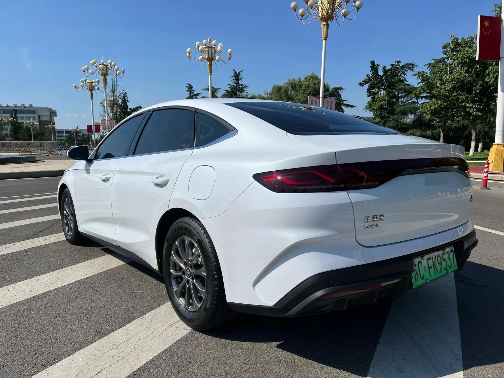 Qin L 2024 DM-i 80KM Leading Type 4