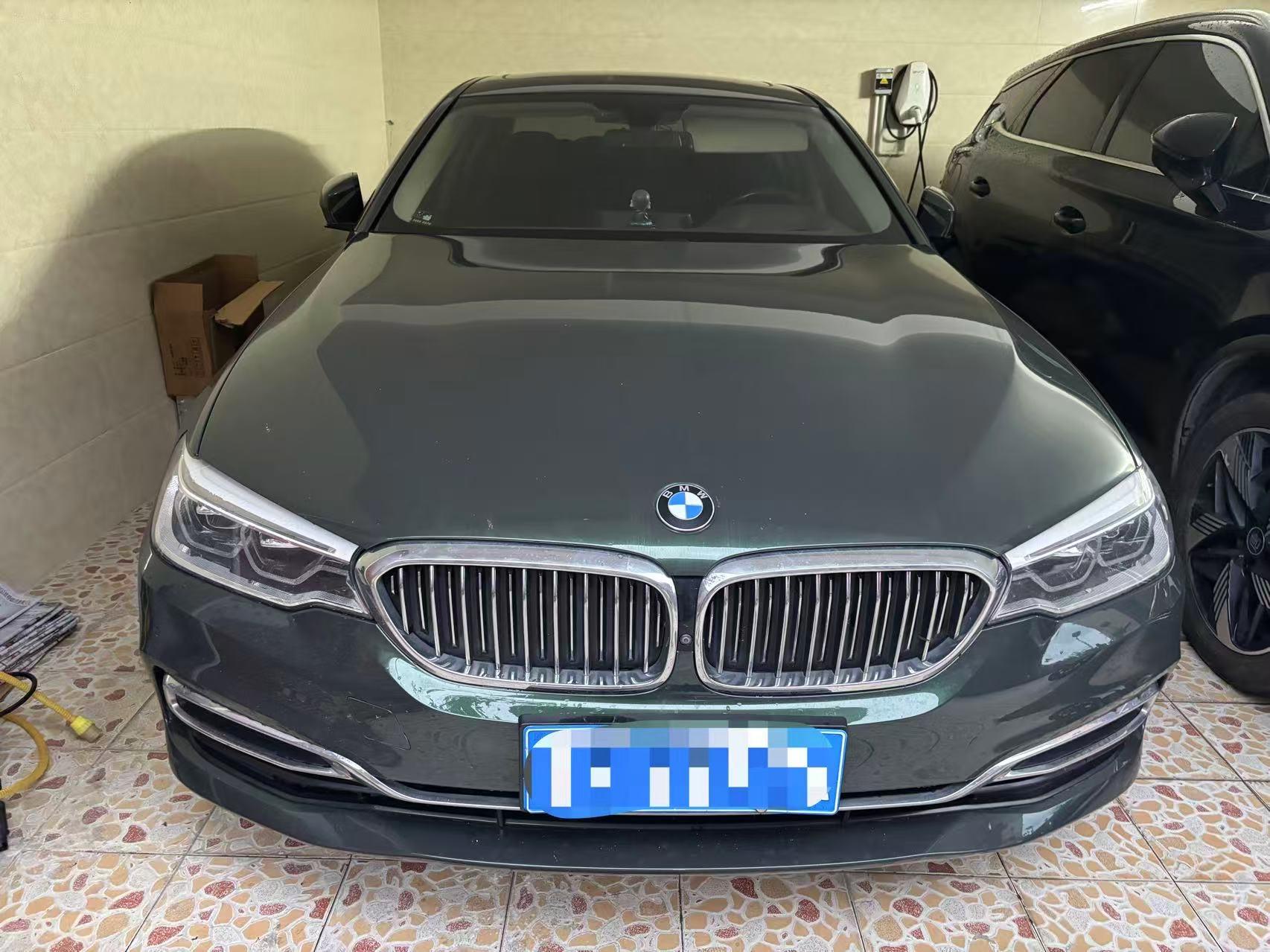 BMW 5 Series 2020 530Li Premium Luxury Suit 2