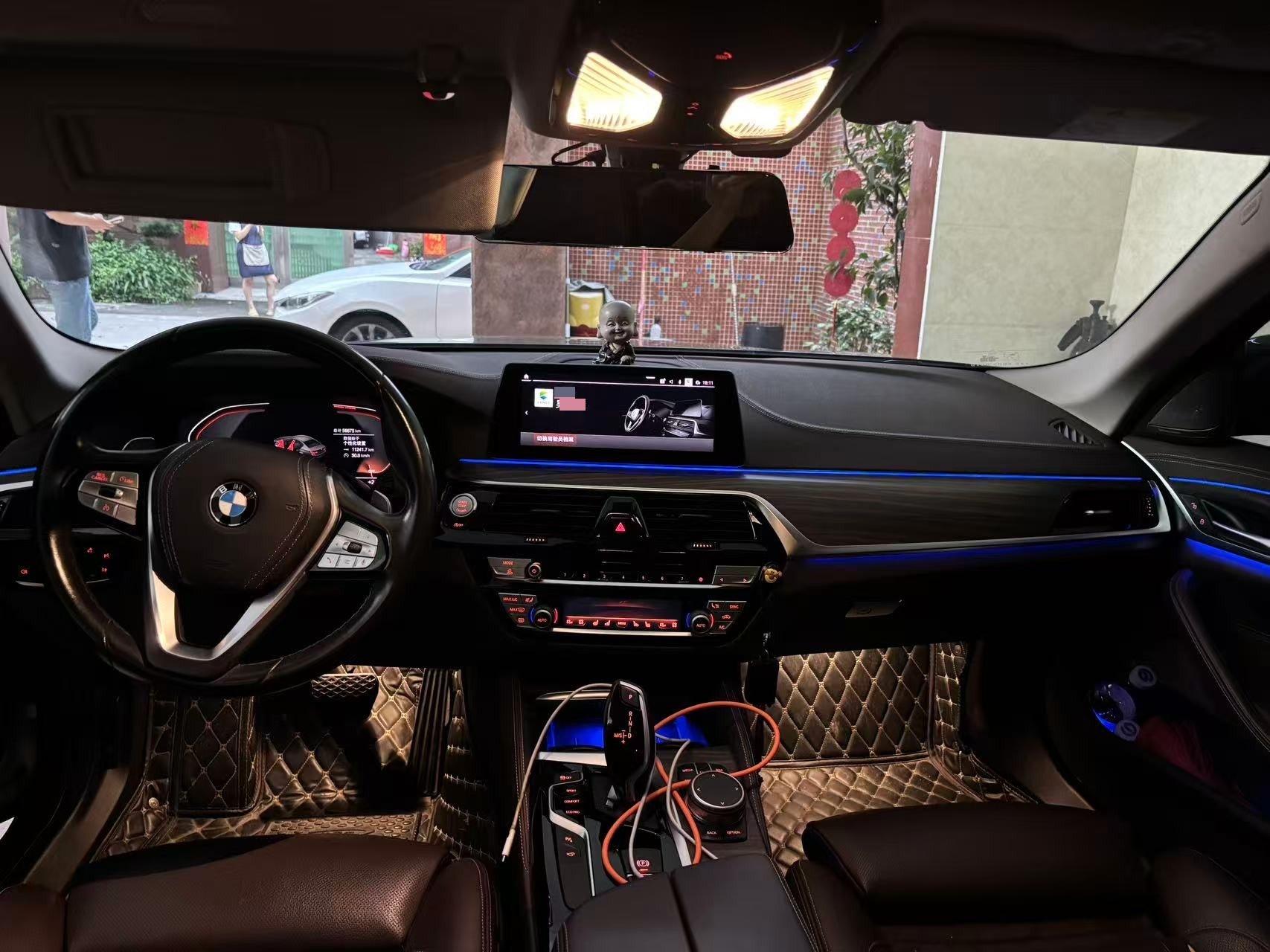 BMW 5 Series 2020 530Li Premium Luxury Suit 4