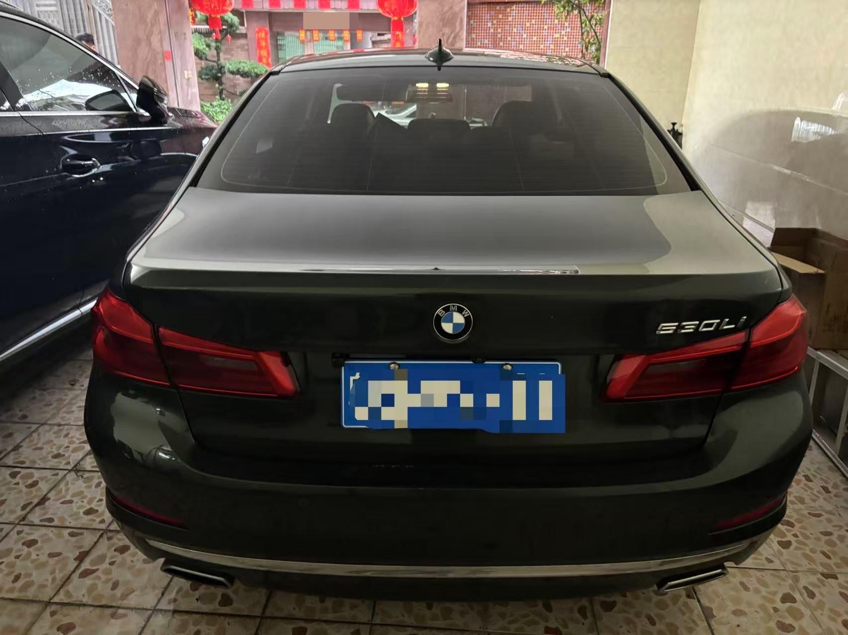 BMW 5 Series 2020 530Li Premium Luxury Suit 6