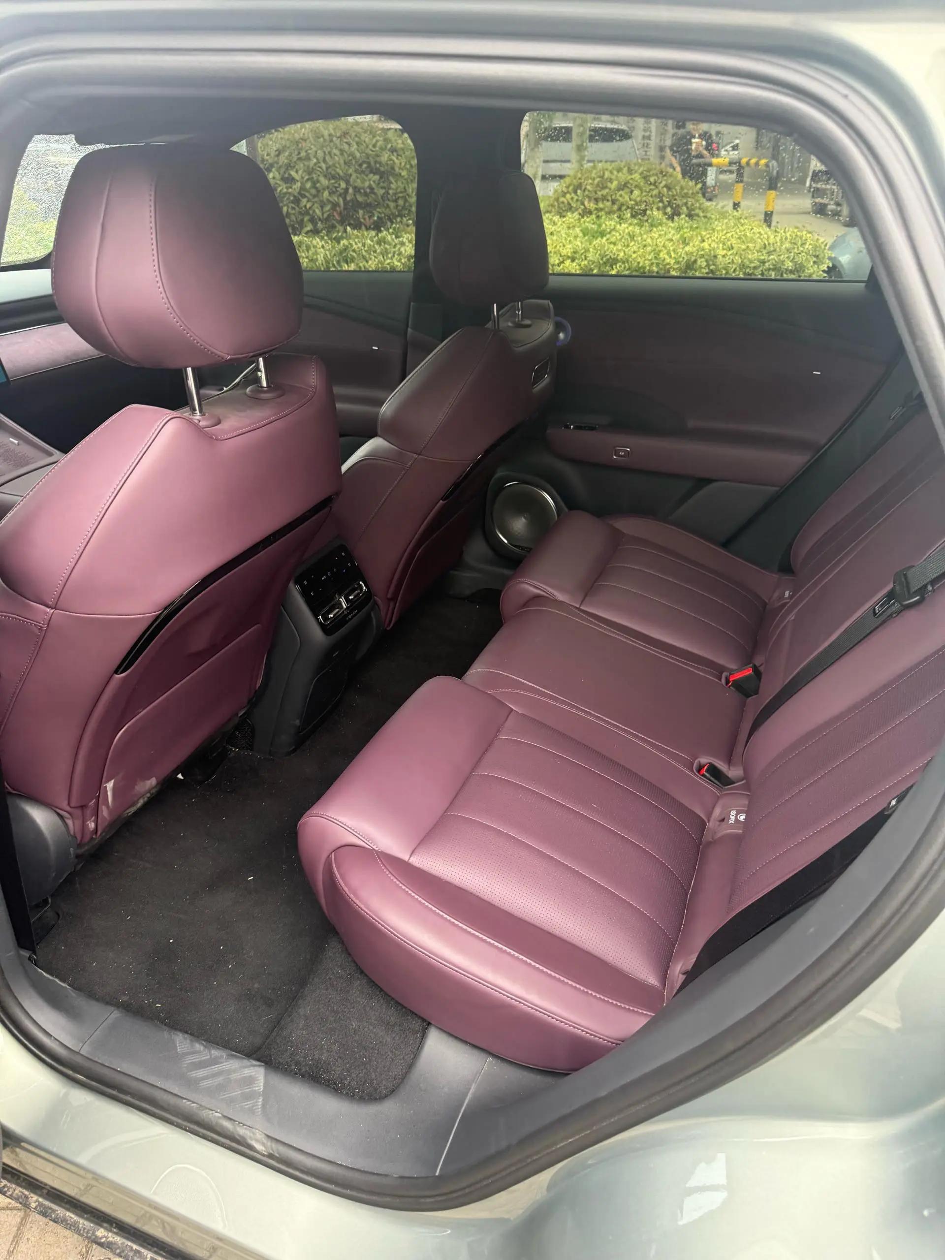 Voyah 2025 FREE Rear Drive Dry Kun Edition Automatic Gear 3