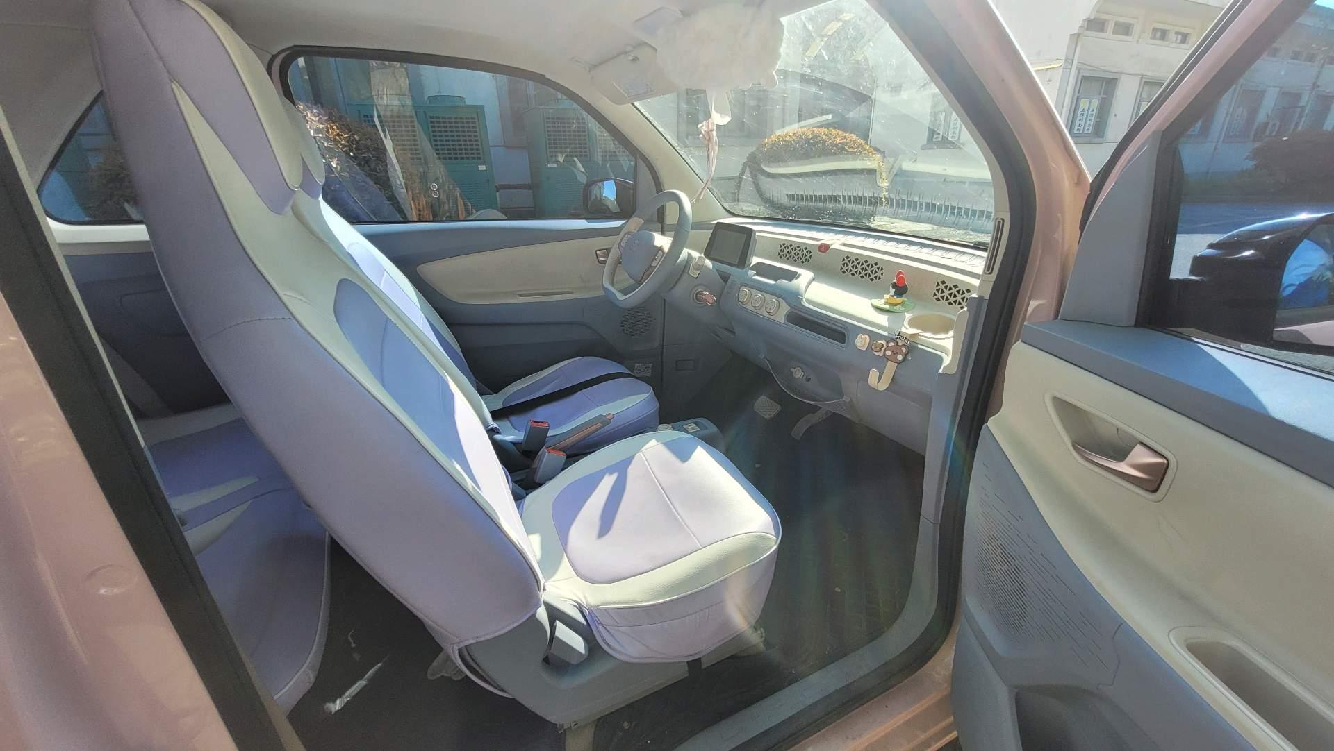 Scenery MINIEV 2022 Real Luxury Model 11