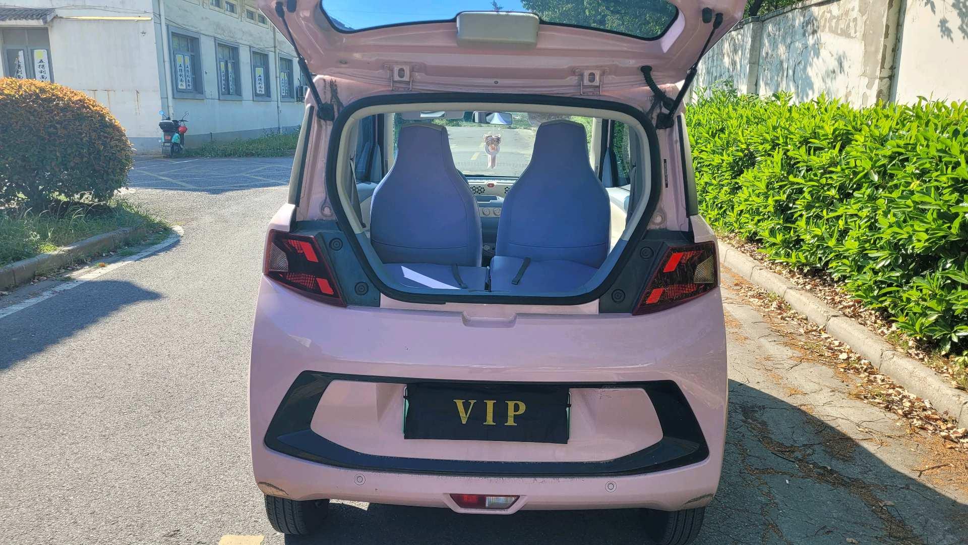 Scenery MINIEV 2022 Real Luxury Model 13
