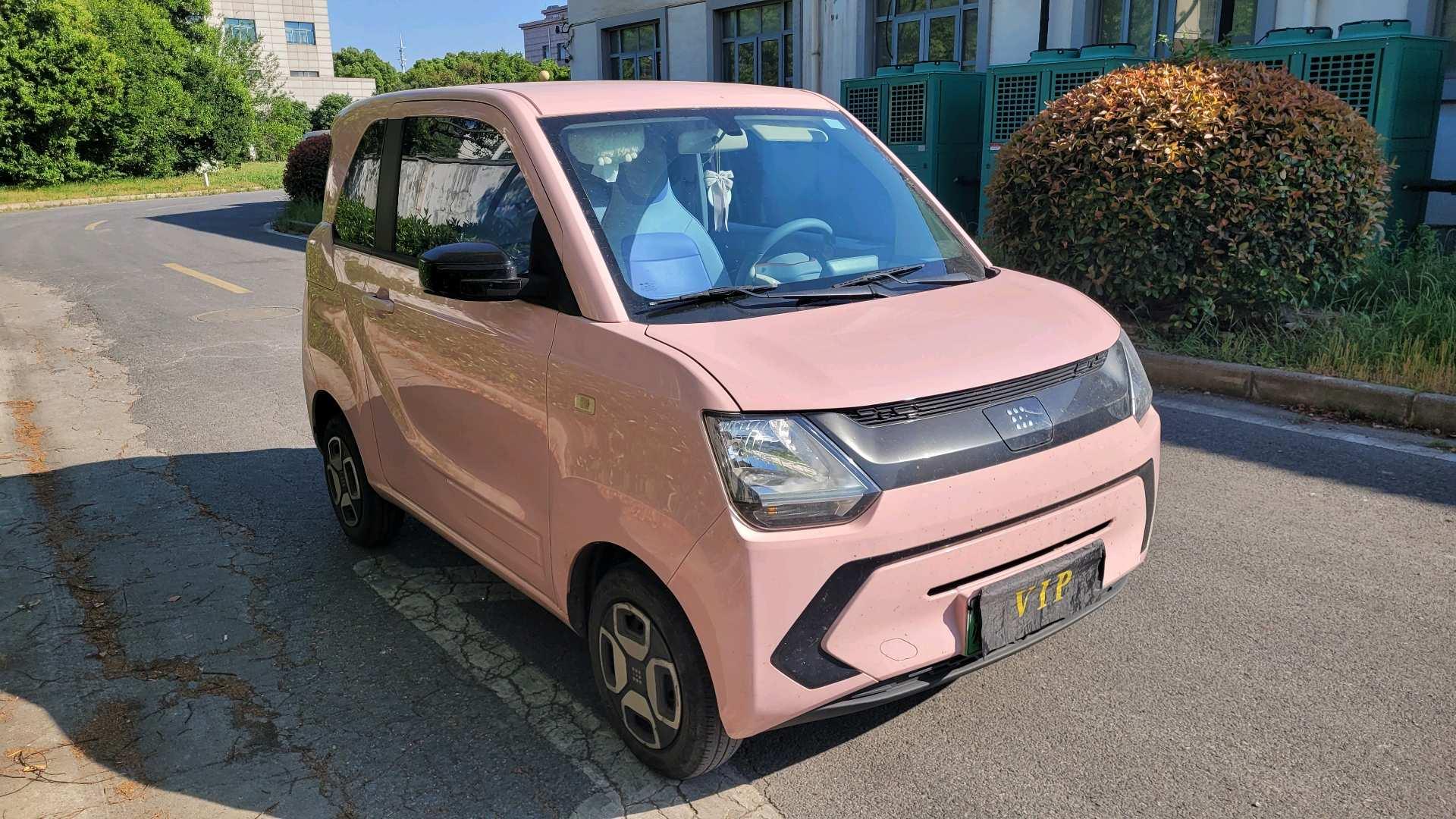 Scenery MINIEV 2022 Real Luxury Model 18