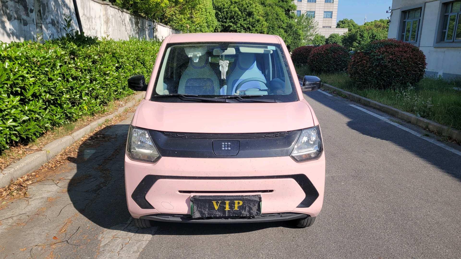 Scenery MINIEV 2022 Real Luxury Model 19