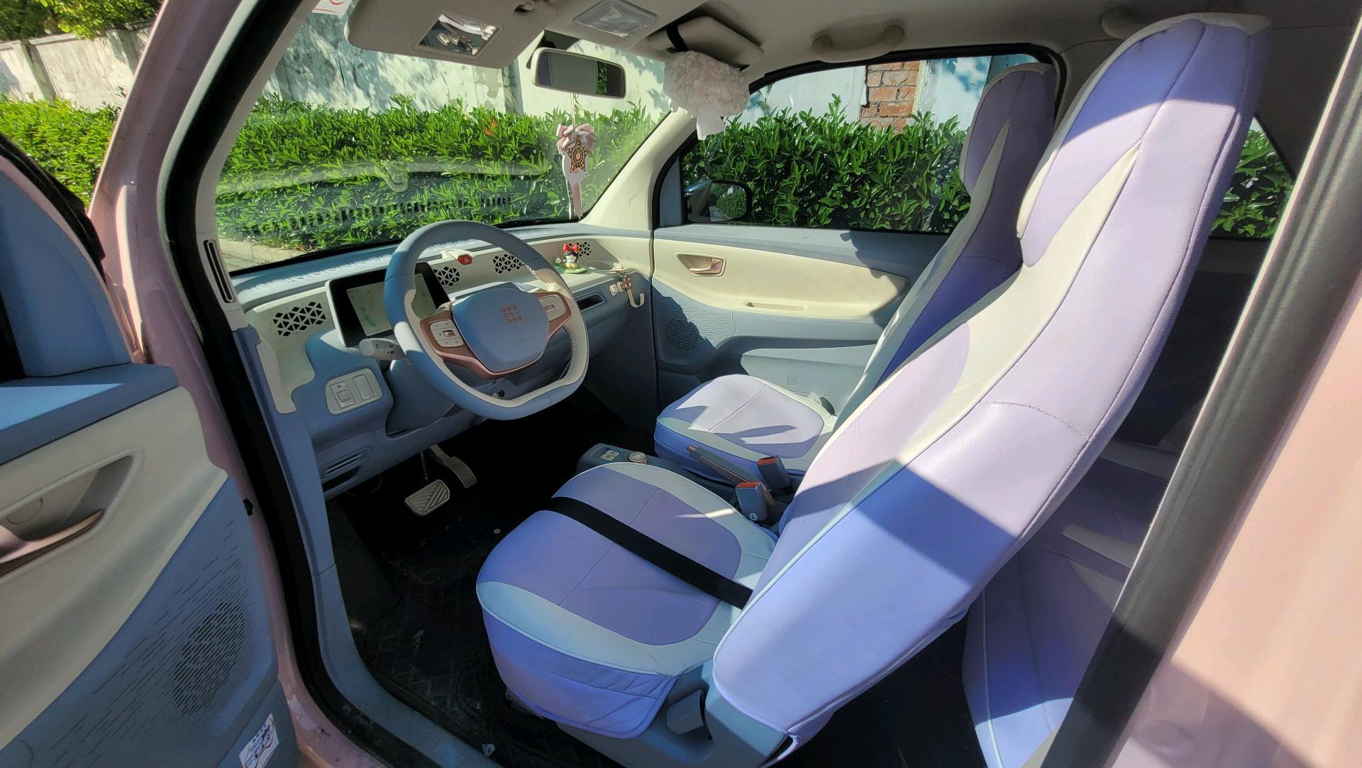Scenery MINIEV 2022 Real Luxury Model 8