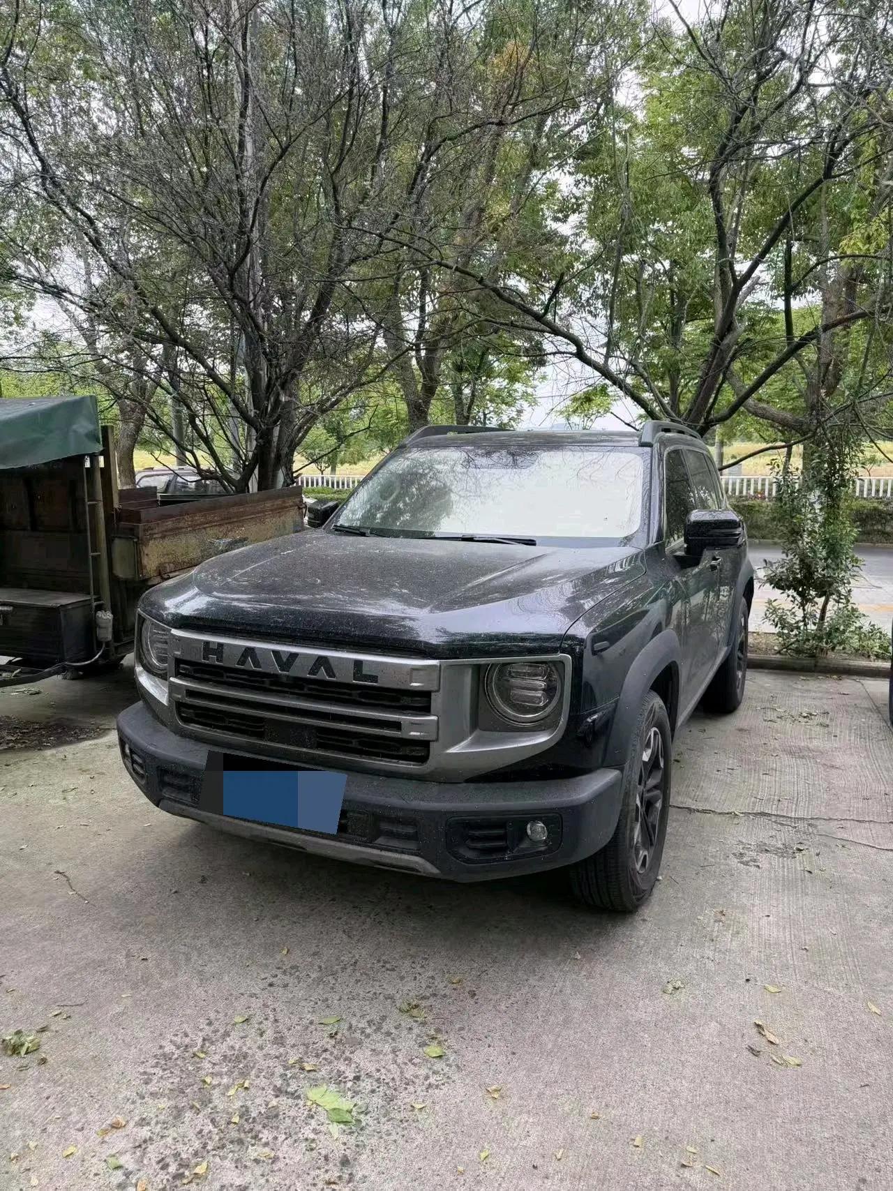 Haval 2024 big dog 2.0T Chinese garden dog version automatic gear