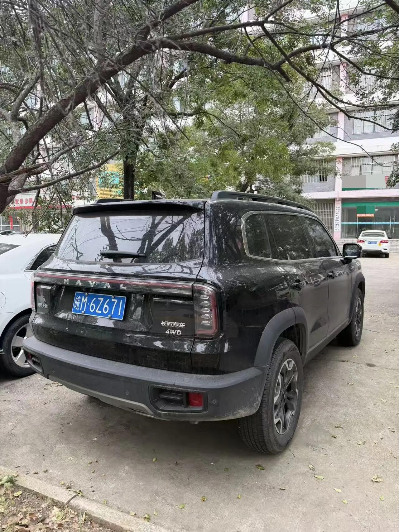 Haval 2024 big dog 2.0T Chinese garden dog version automatic gear 4