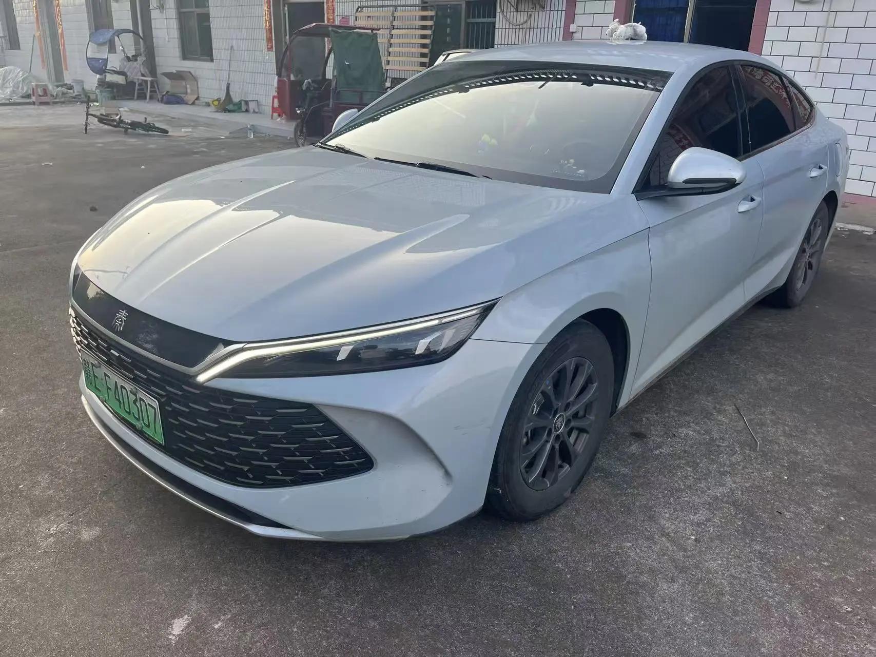 Qin L 2024 DM-i 80KM Leading Type