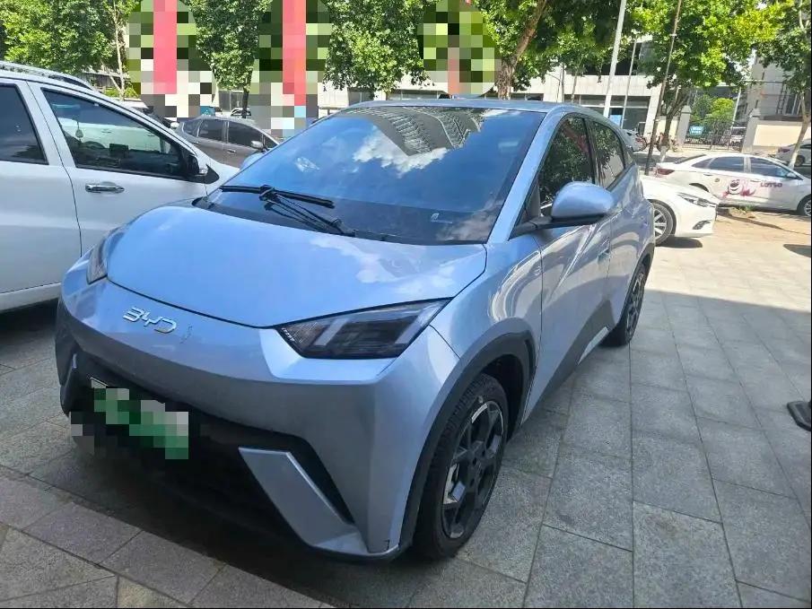 BYD 2024 Seagull Glory Edition 405km Flying Edition Automatic Gear
