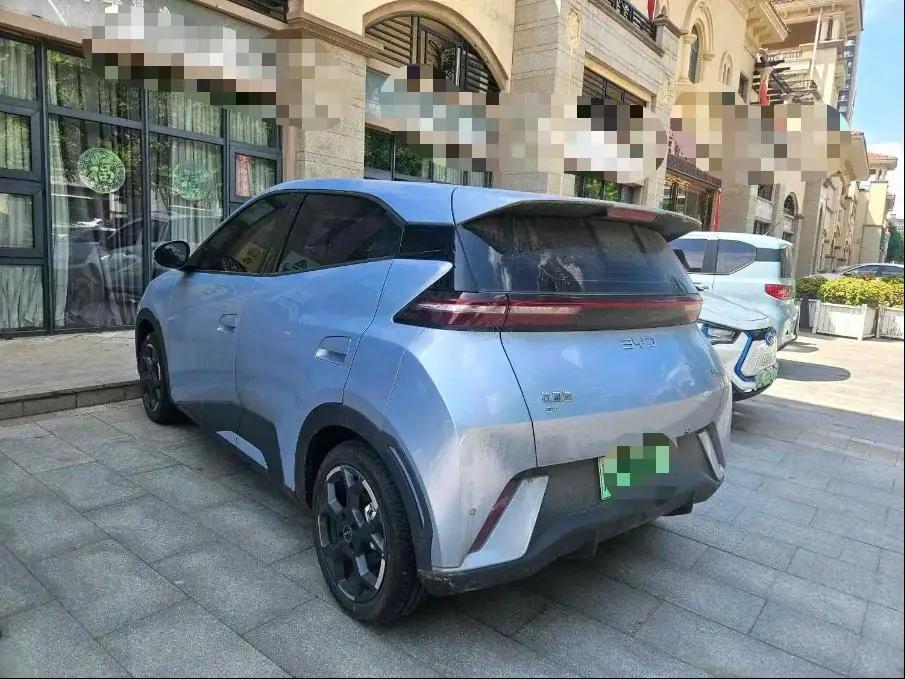 BYD 2024 Seagull Glory Edition 405km Flying Edition Automatic Gear 3