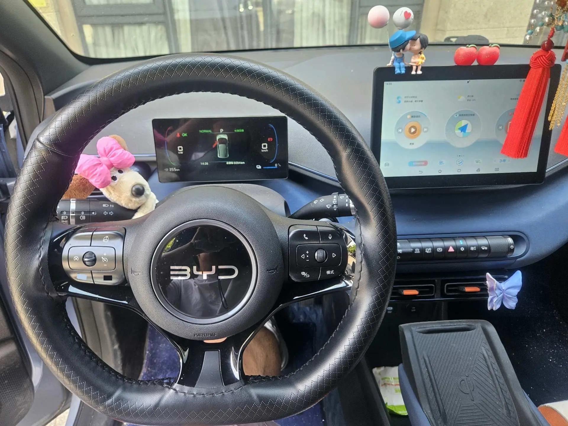 BYD 2024 Seagull Glory Edition 405km Flying Edition Automatic Gear 4