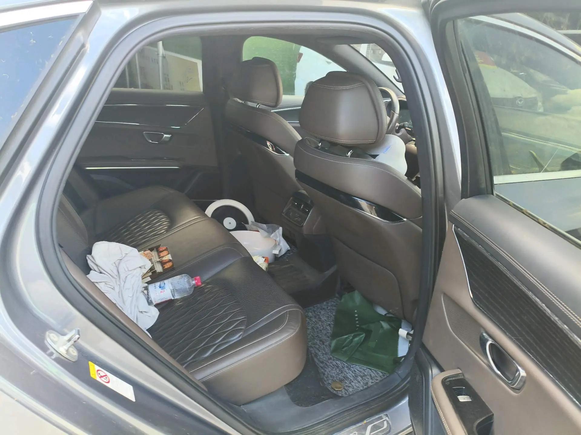 Han 2020 DM 4WD Performance Edition Premium Model 5
