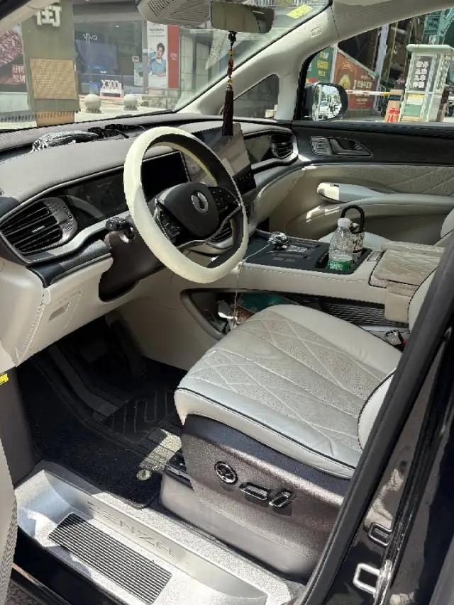 Denza D9 2024 DM-i 980 4-wheel drive distinguished model 3