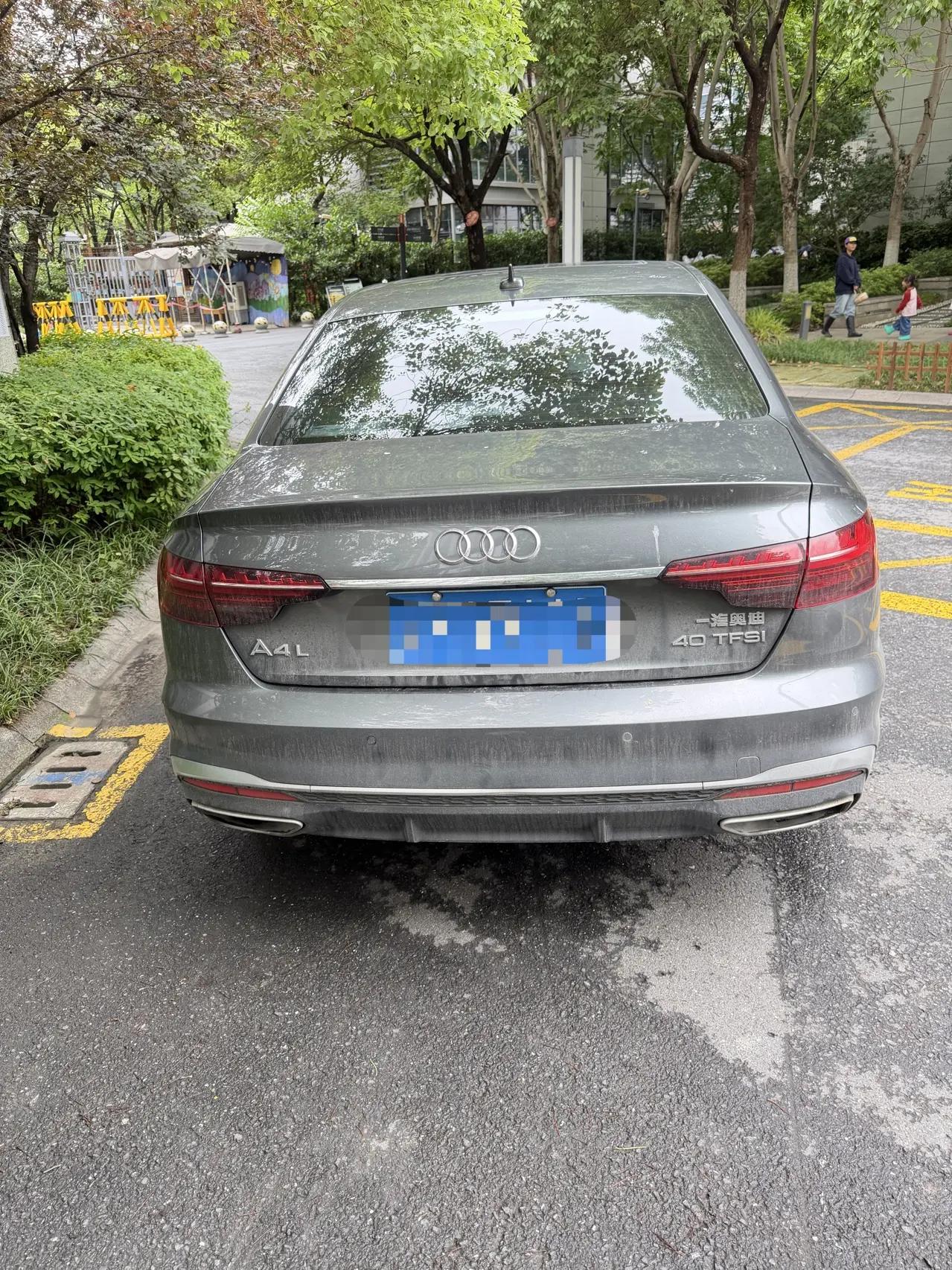 Audi A4L 2020 model 40 TFSI Luxury Dynamic Edition 7