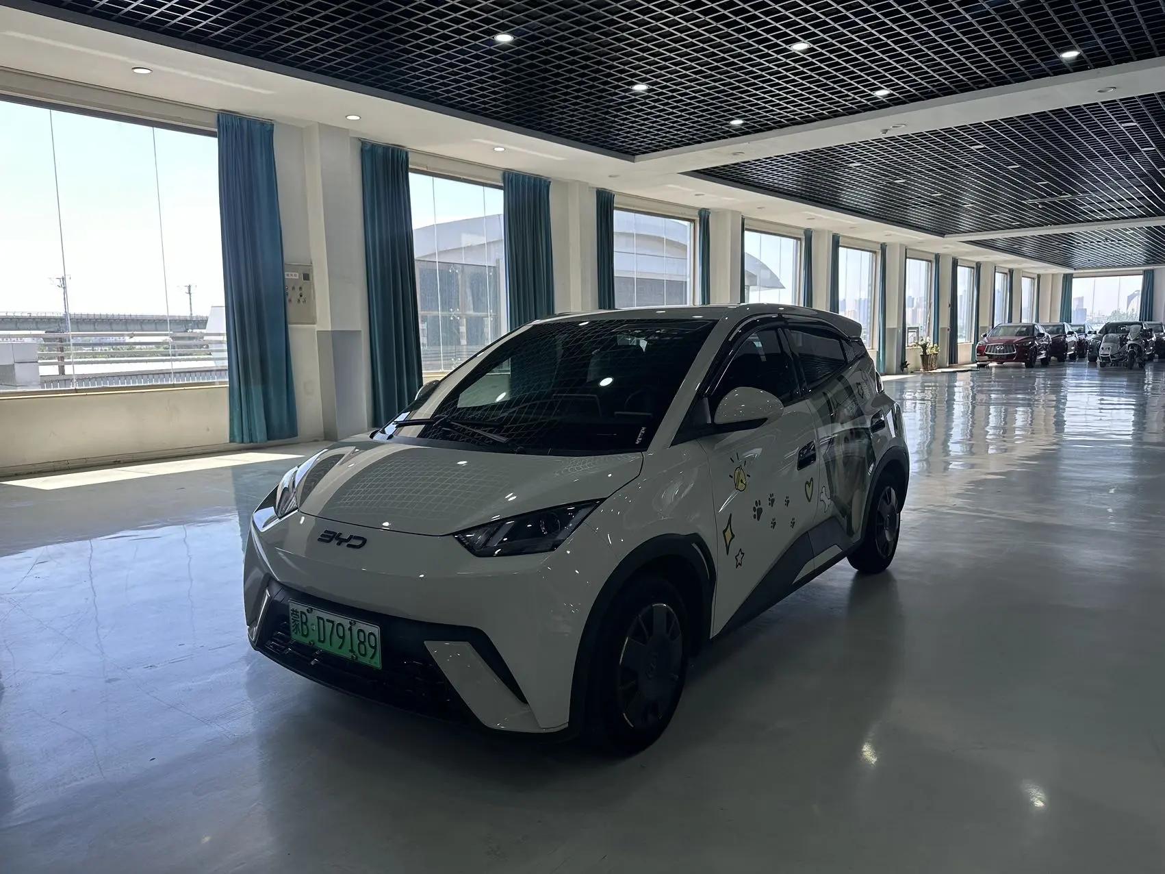 BYD 2024 Seagull Glory Edition 305km Free Version Automatic