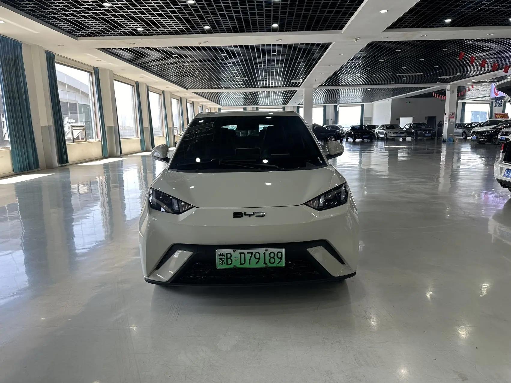 BYD 2024 Seagull Glory Edition 305km Free Version Automatic 2