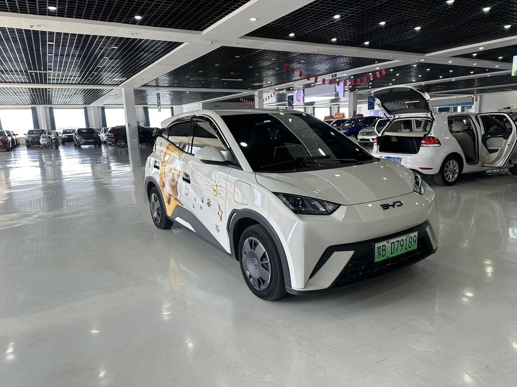 BYD 2024 Seagull Glory Edition 305km Free Version Automatic 3