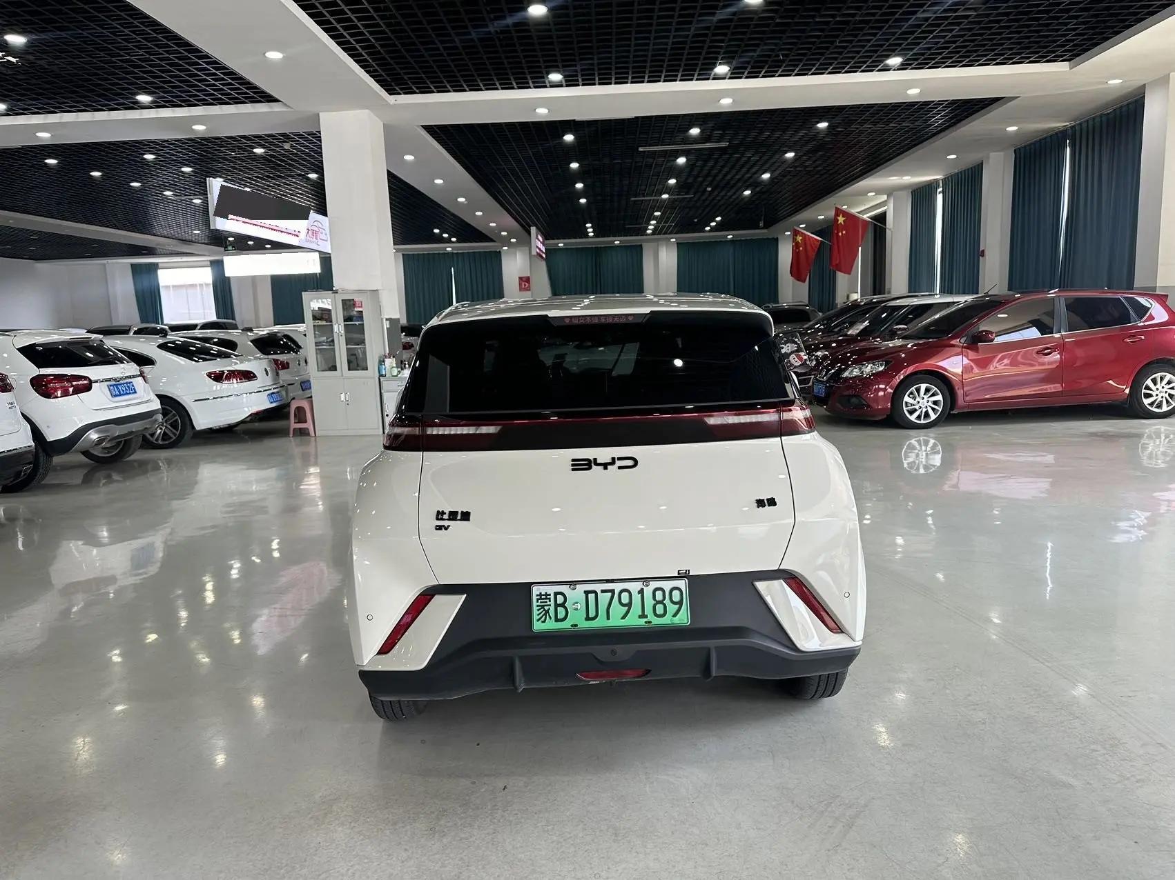 BYD 2024 Seagull Glory Edition 305km Free Version Automatic 5