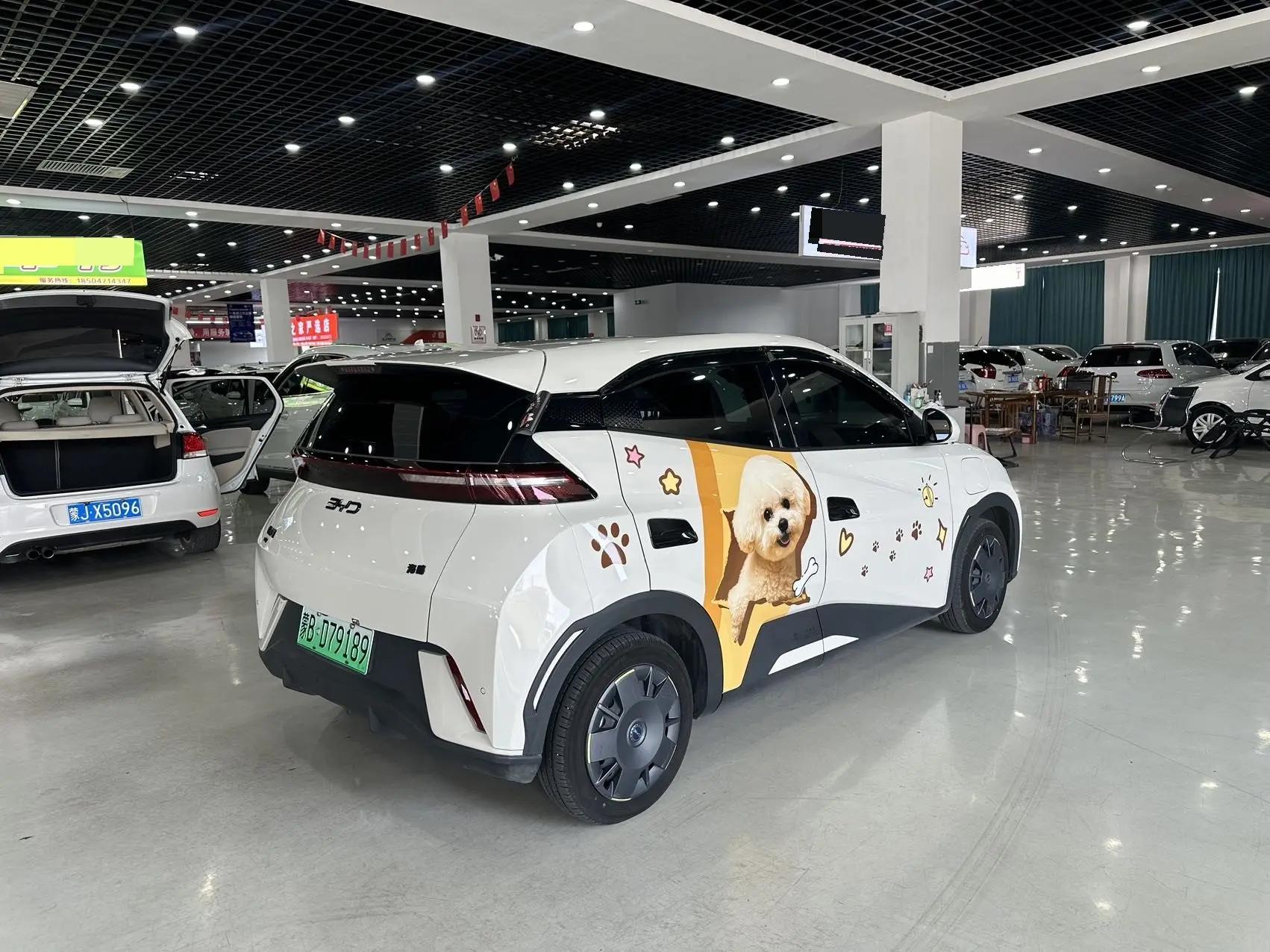 BYD 2024 Seagull Glory Edition 305km Free Version Automatic 6
