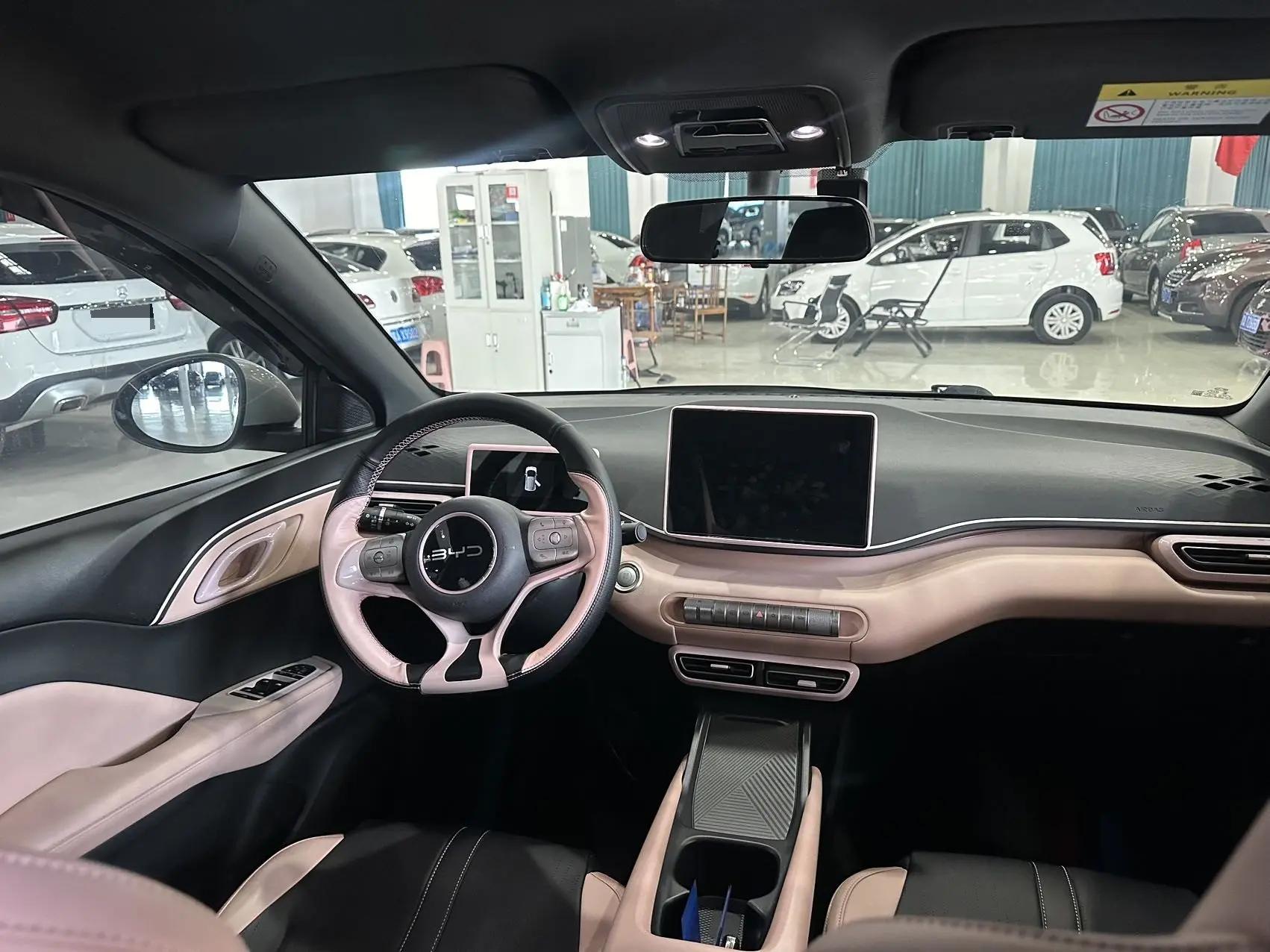 BYD 2024 Seagull Glory Edition 305km Free Version Automatic 9