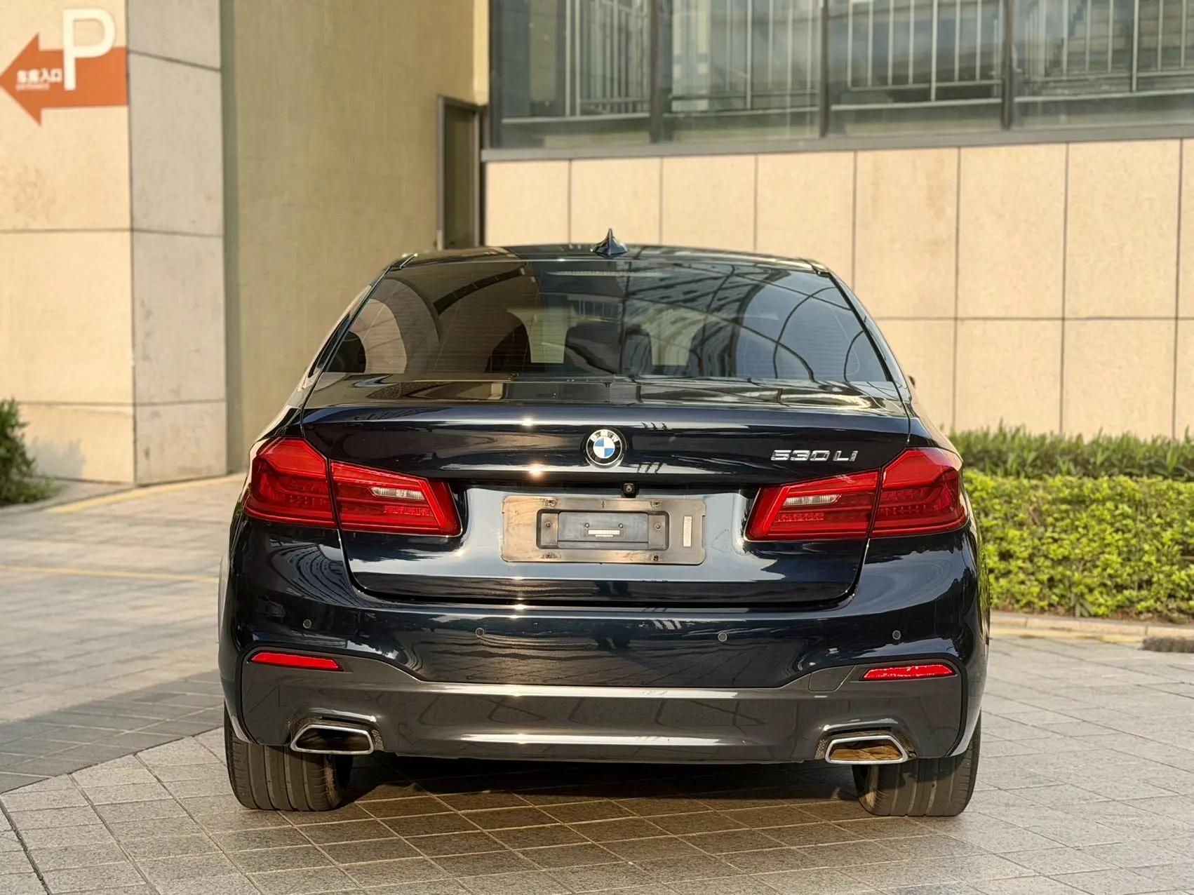 BMW 5 Series 2020 530Li Leading M Sports Suit 5