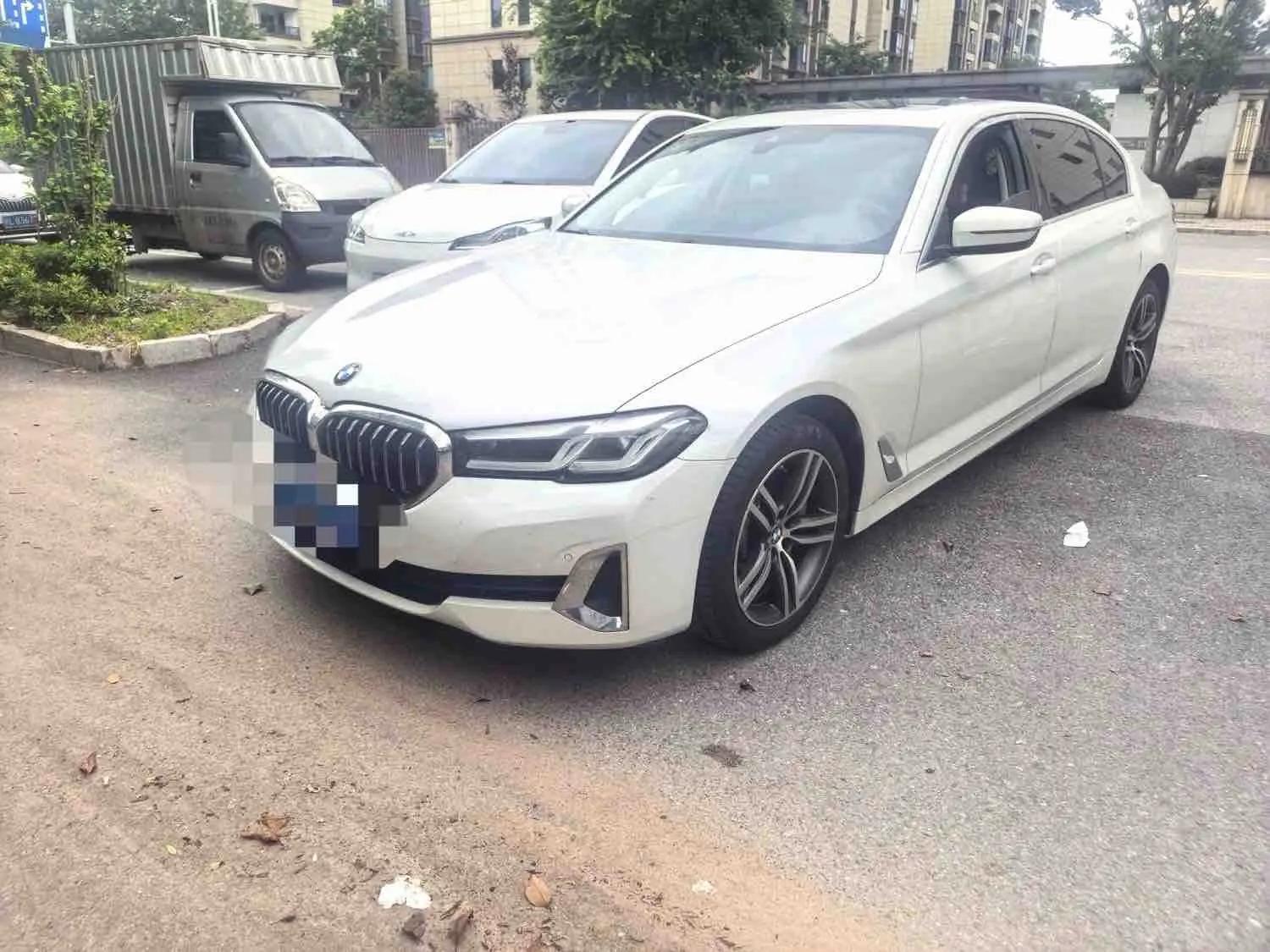BMW 5 Series 2021 530Li Leading Luxury Suit