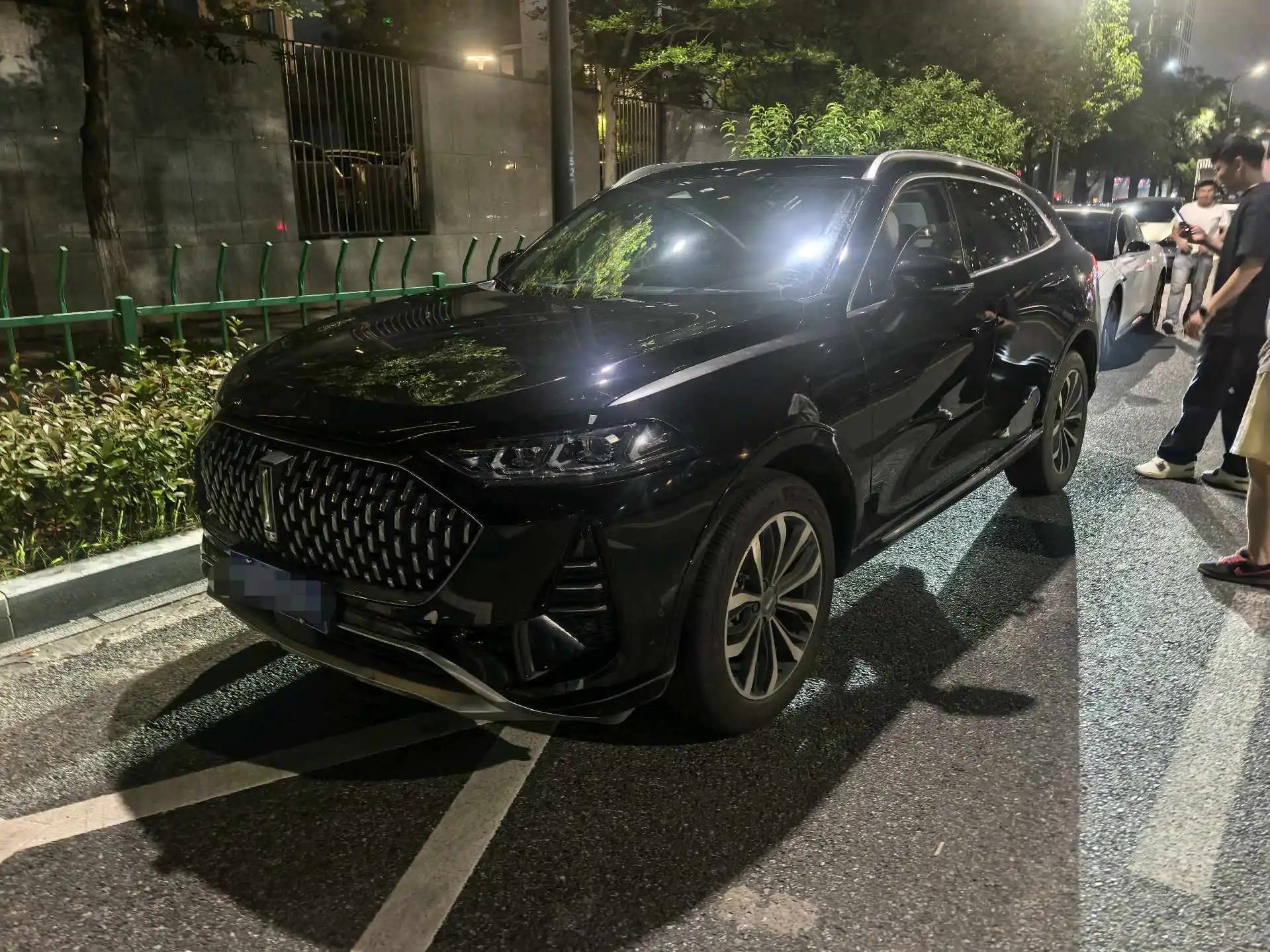 Mocha 2021 2.0T Two-Drive Special Alcohol Edition