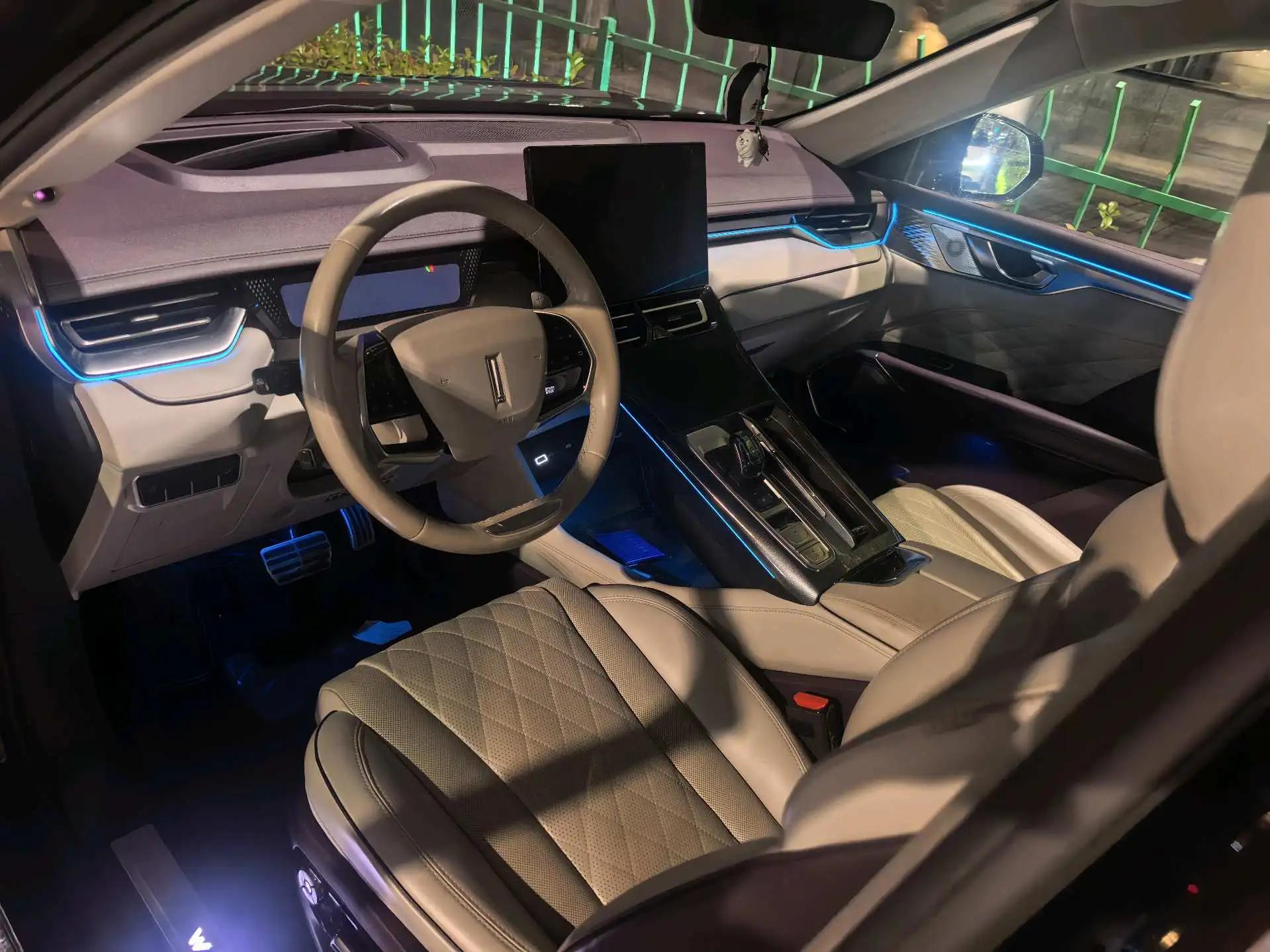 Mocha 2021 2.0T Two-Drive Special Alcohol Edition 5