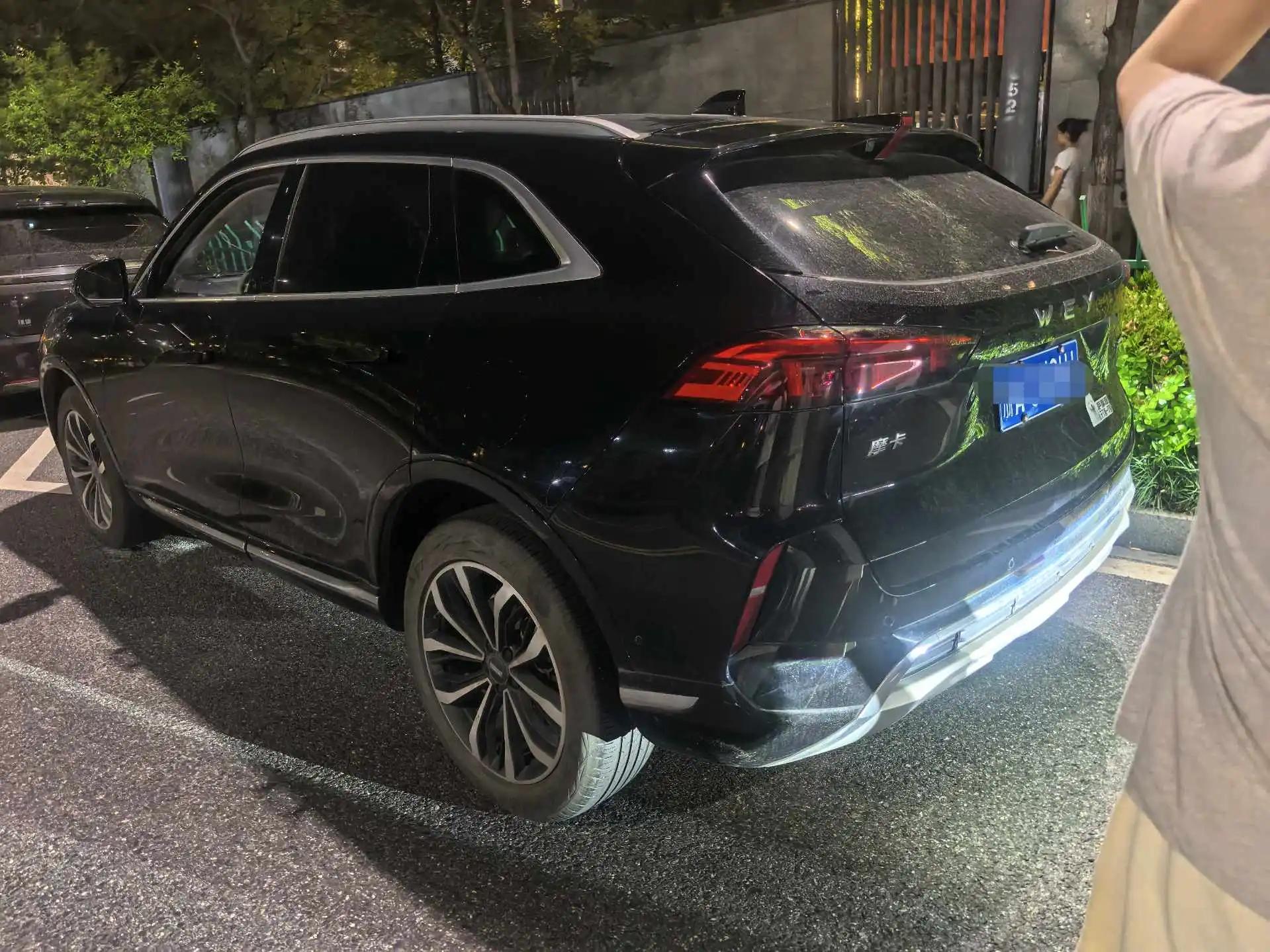 Mocha 2021 2.0T Two-Drive Special Alcohol Edition 7
