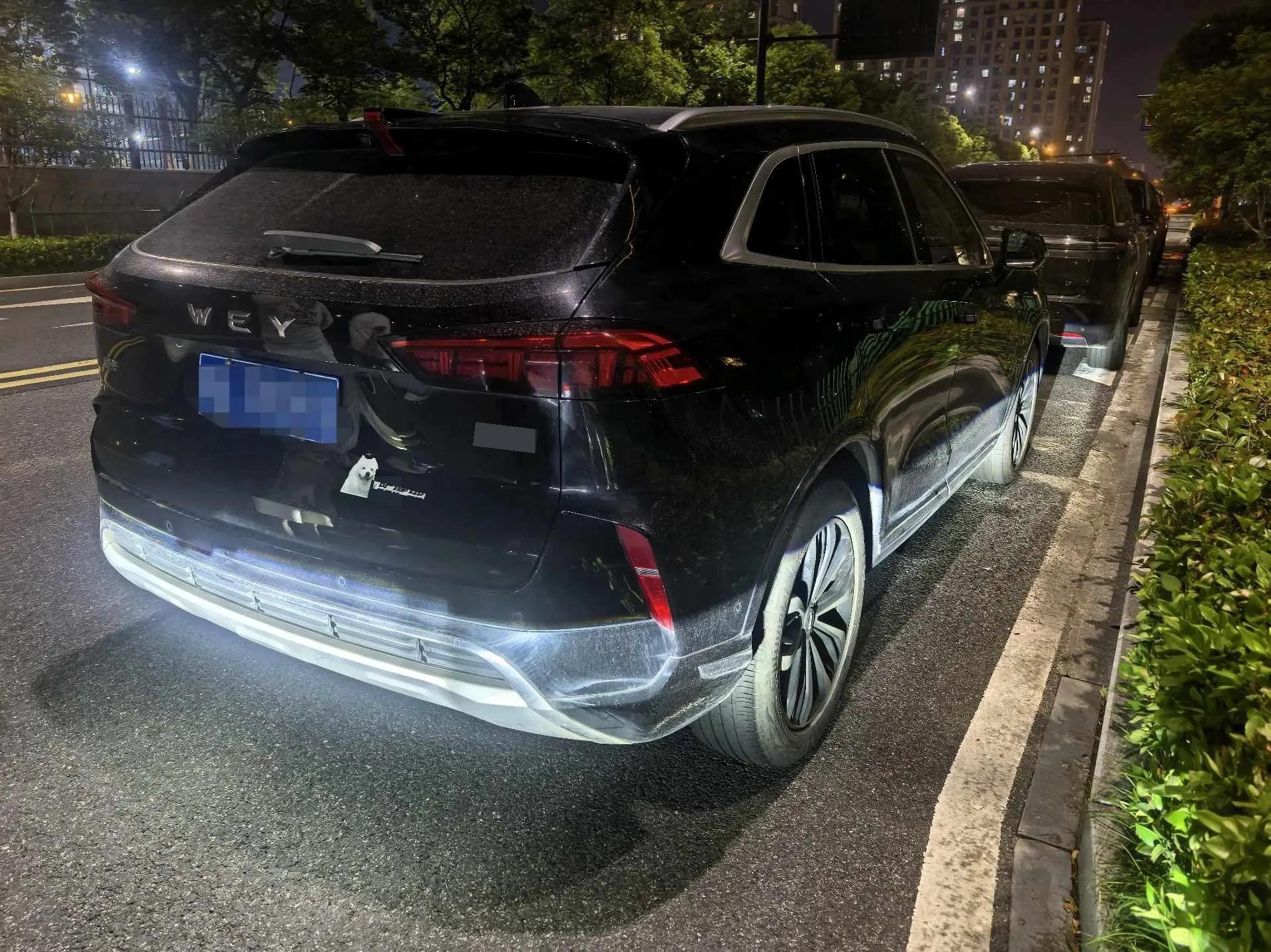 Mocha 2021 2.0T Two-Drive Special Alcohol Edition 8