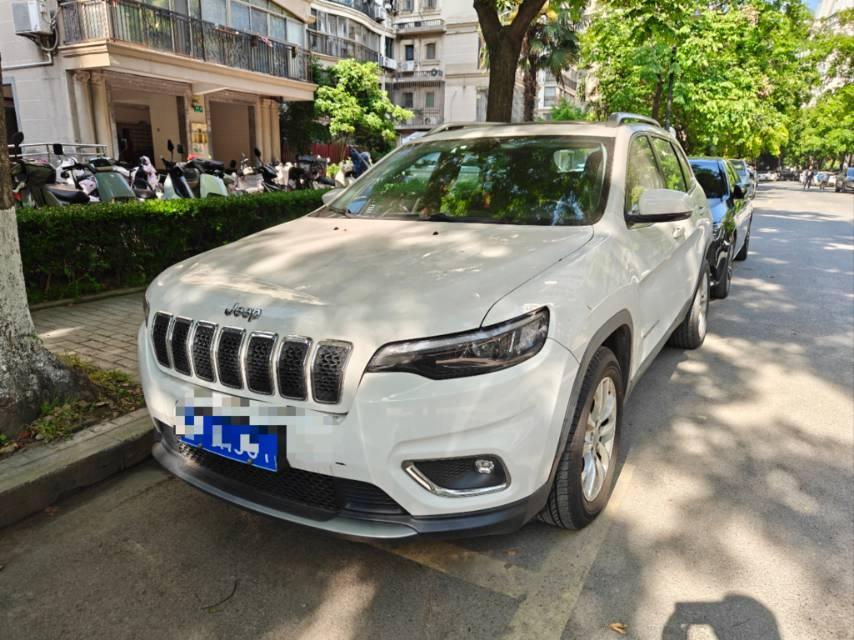 Free Light 2019 2.0T Two-Drive Smart Edition National V