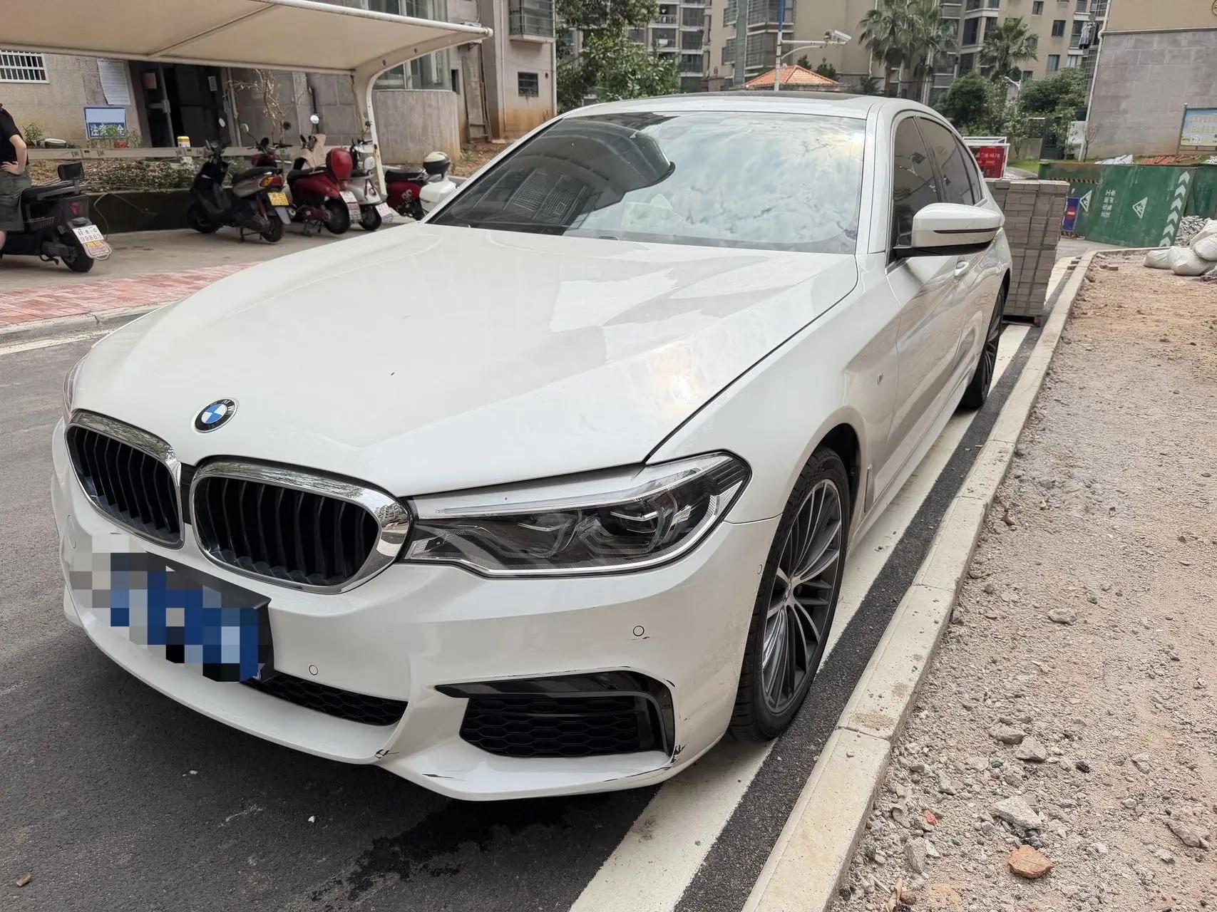 BMW 5 Series 2020 530Li Leading M Sports Suit