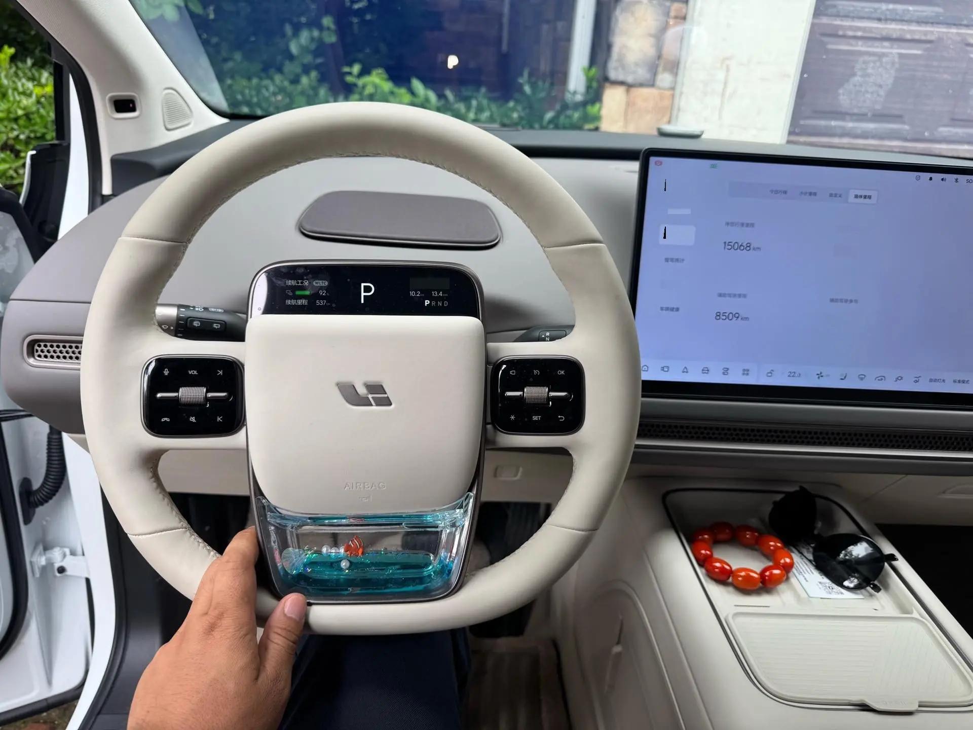 Li 2025 i8 Standard Edition Automatic 10