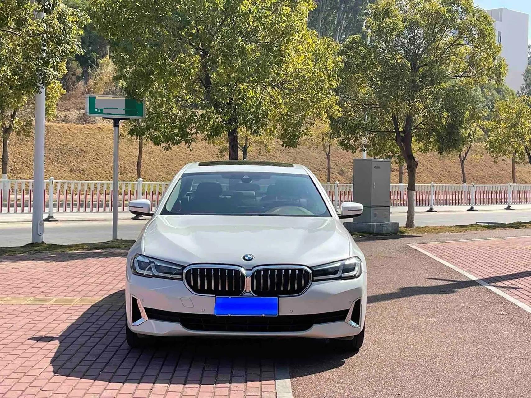 BMW 5 Series 2021 525Li Deluxe Suit 2