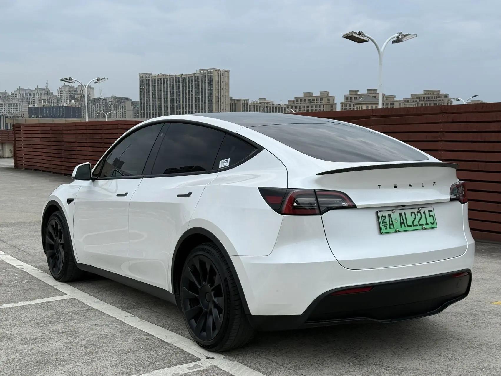 2022 Model Y Facelift Rear-Wheel Drive Version 9