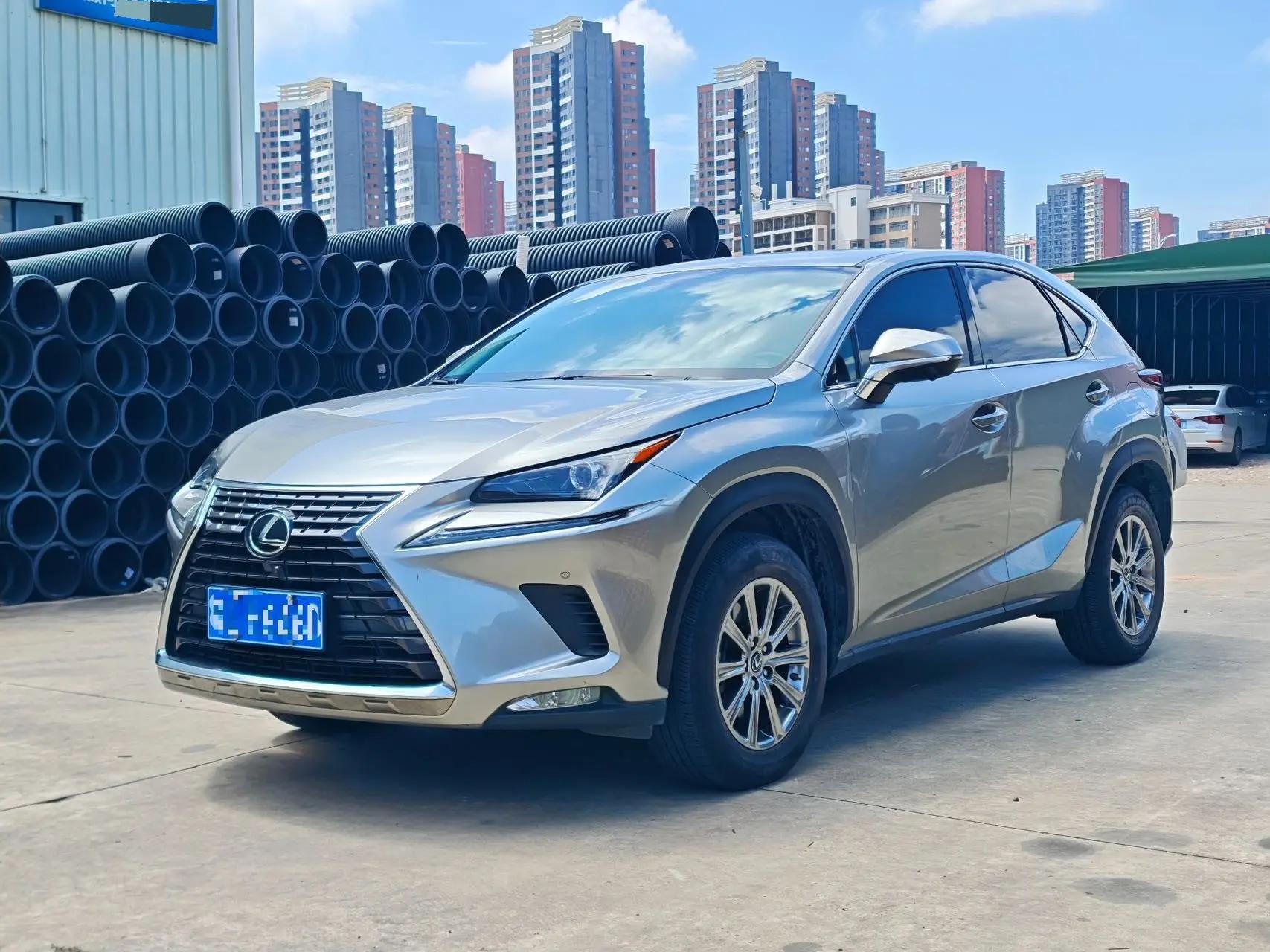 Lexus NX 2020 200 Front drive Fuyi version China VI