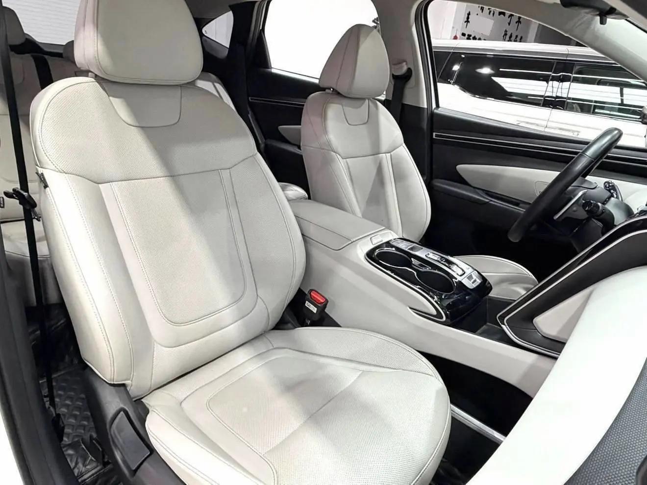 Tousheng 2021 Tousheng L 1.5T GLX Elite Edition 11