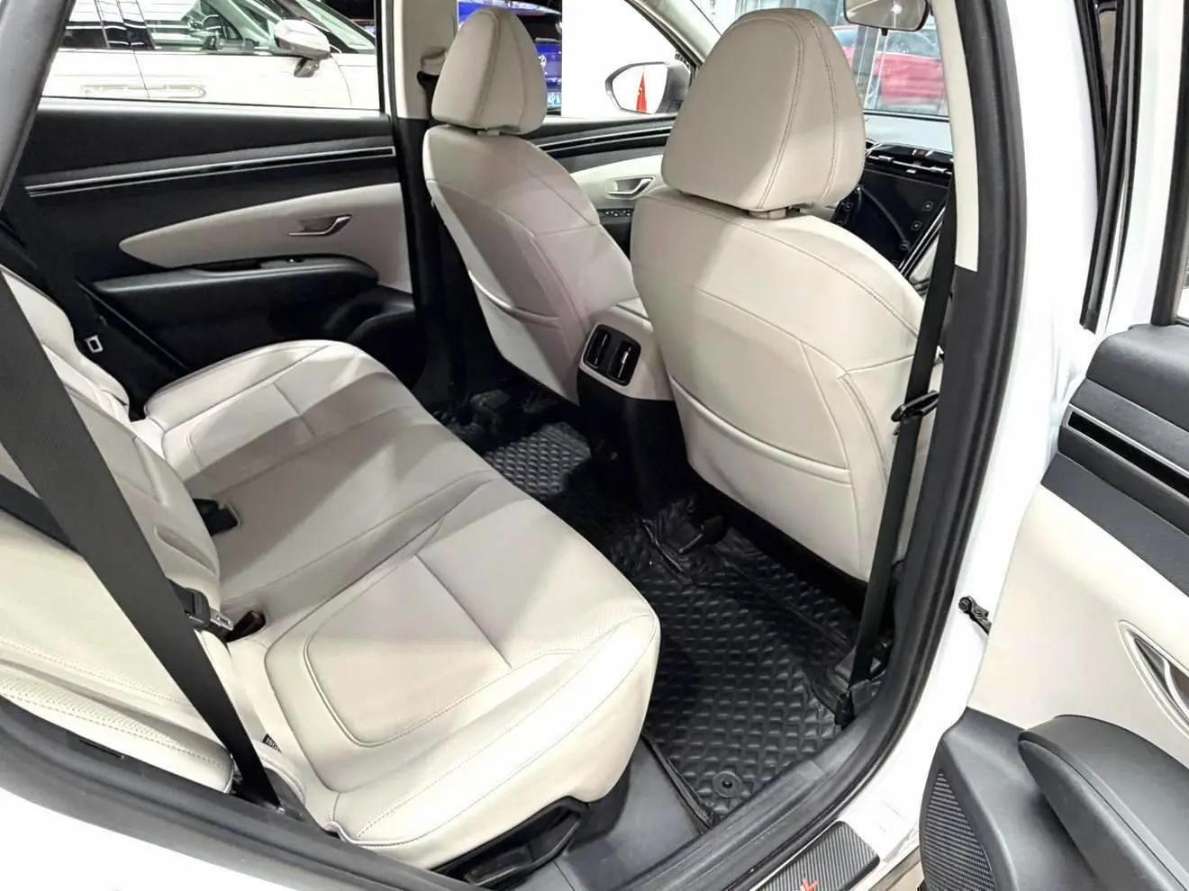 Tousheng 2021 Tousheng L 1.5T GLX Elite Edition 14