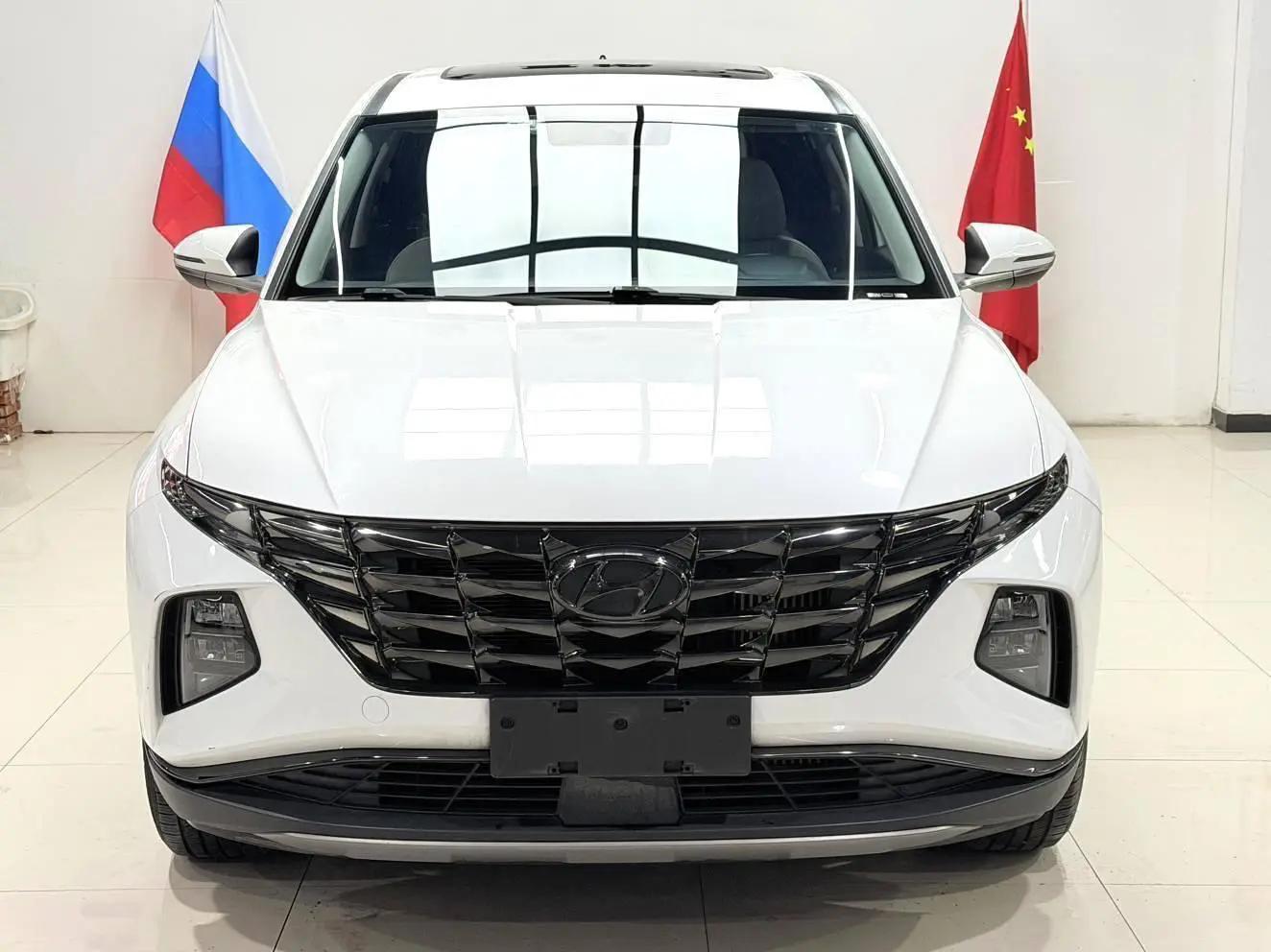 Tousheng 2021 Tousheng L 1.5T GLX Elite Edition 2