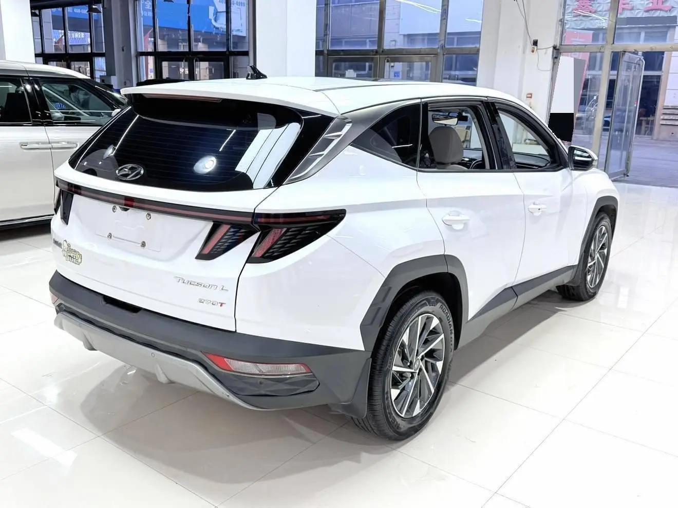 Tousheng 2021 Tousheng L 1.5T GLX Elite Edition 4