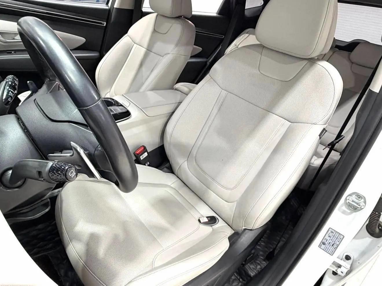 Tousheng 2021 Tousheng L 1.5T GLX Elite Edition 8