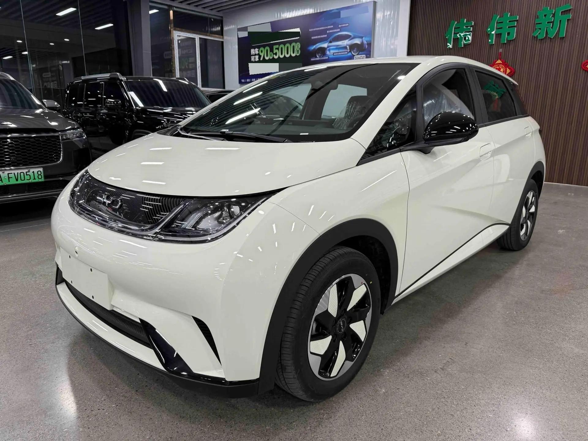 BYD 2025 Dolphin 420km Freedom Edition Automatic