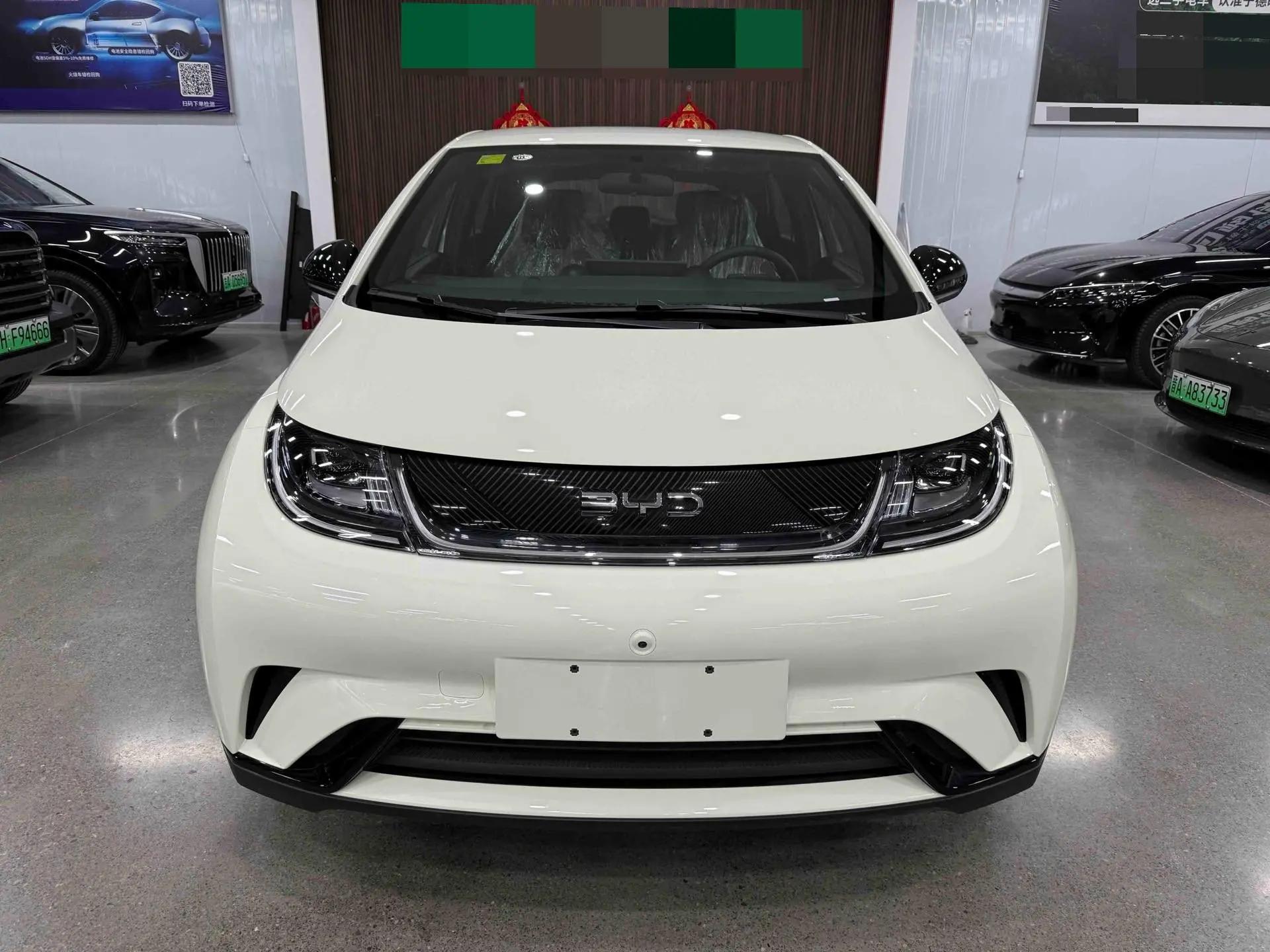 BYD 2025 Dolphin 420km Freedom Edition Automatic 2