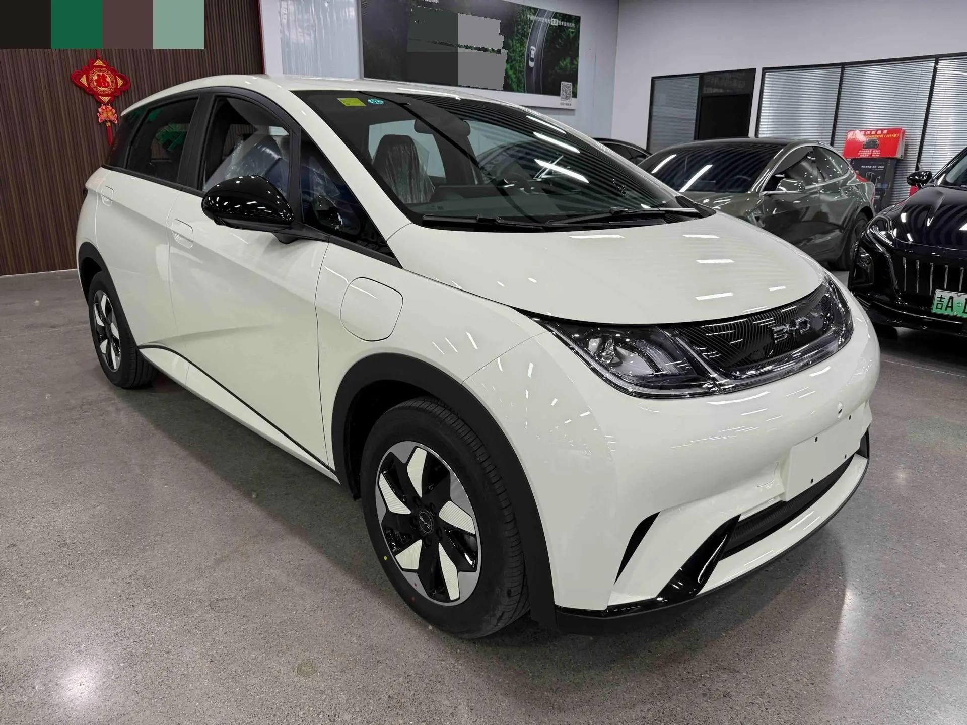BYD 2025 Dolphin 420km Freedom Edition Automatic 3