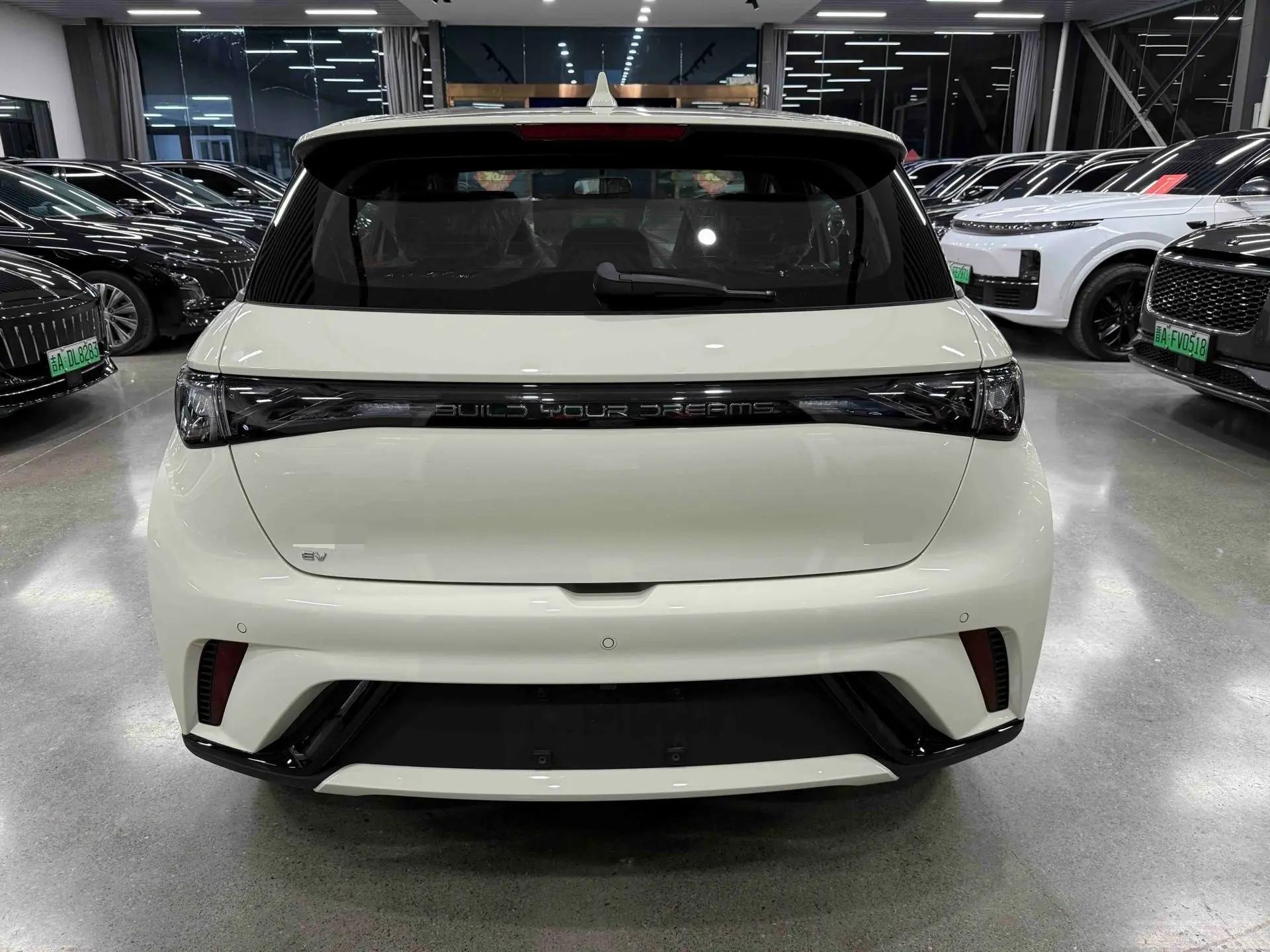 BYD 2025 Dolphin 420km Freedom Edition Automatic 5
