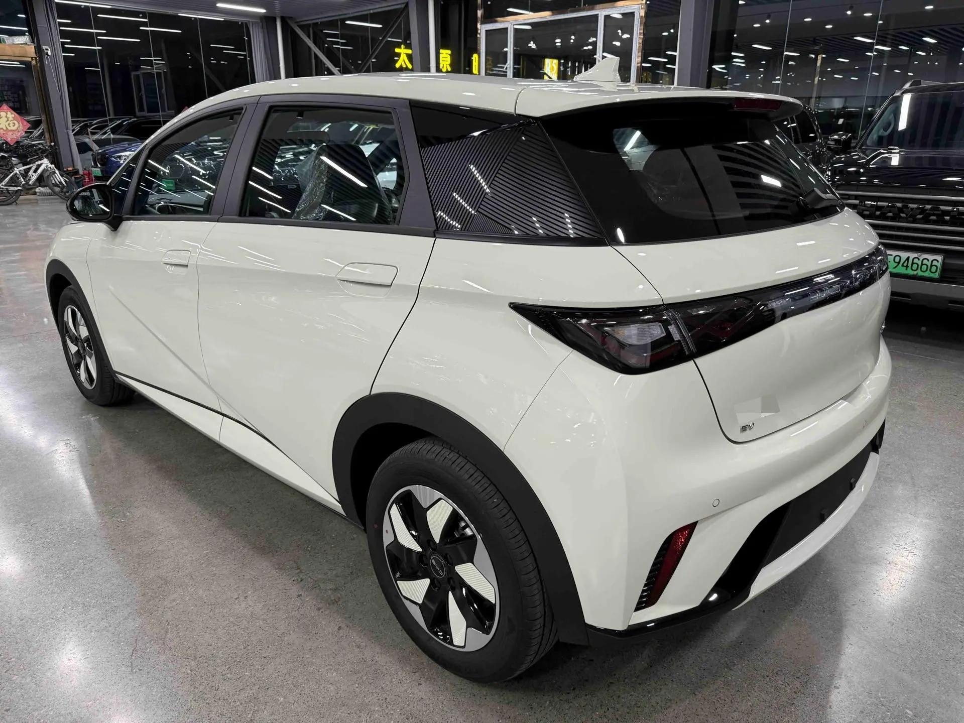 BYD 2025 Dolphin 420km Freedom Edition Automatic 6