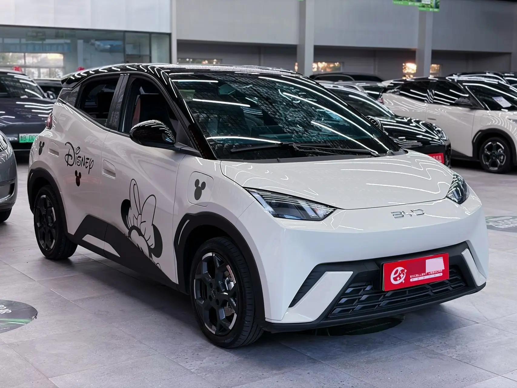 BYD 2025 Seagull 405km Flying Edition Automatic Gear 2