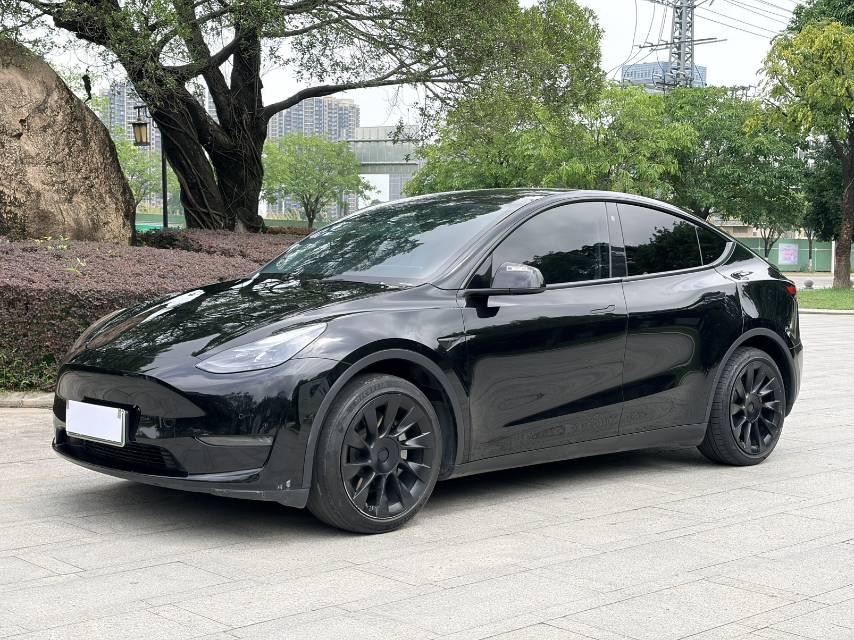 Model Y 2021 Standard Endurance Rear Drive Edition